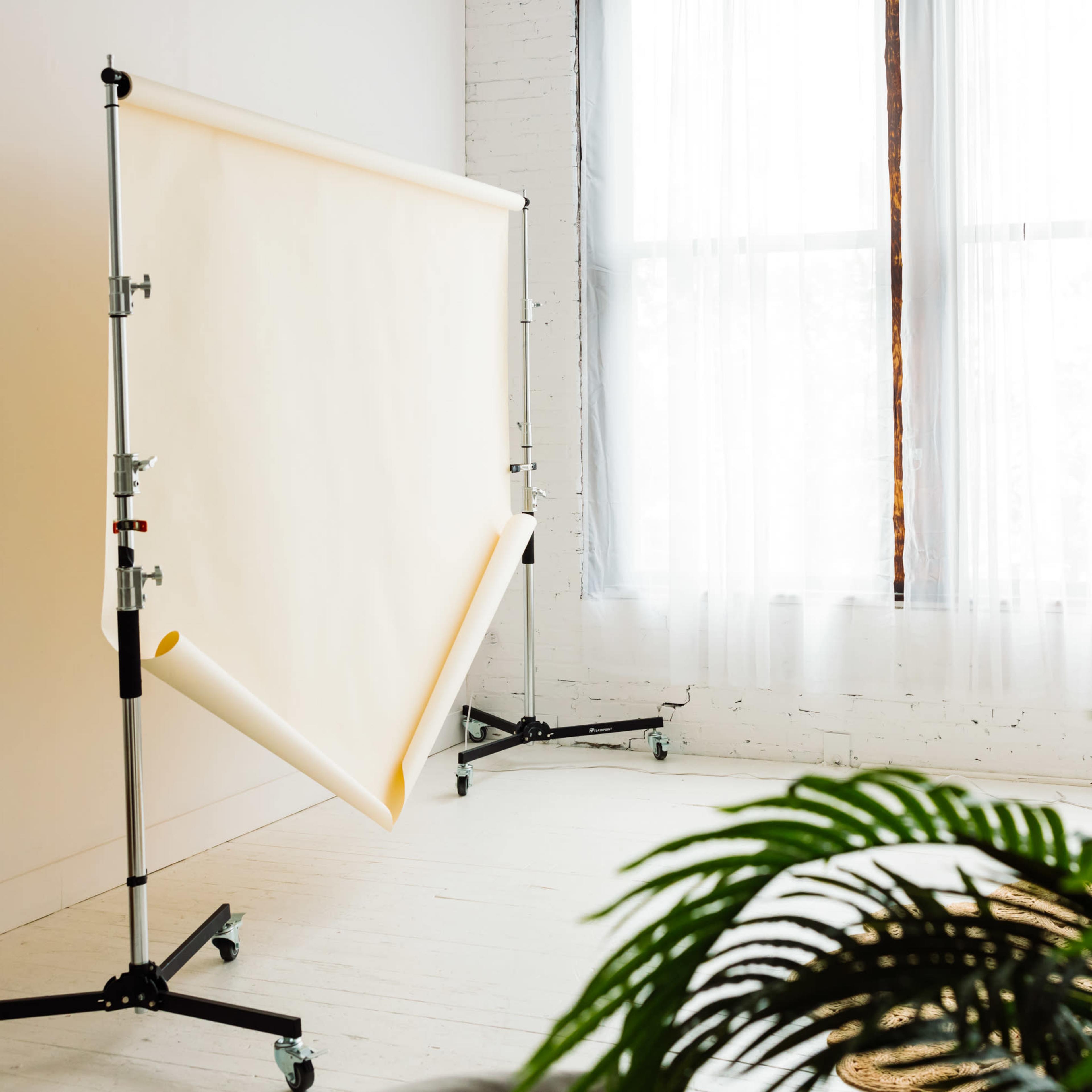 A photography backdrop is set up in a well-lit room with large windows and a potted plant in the foreground.