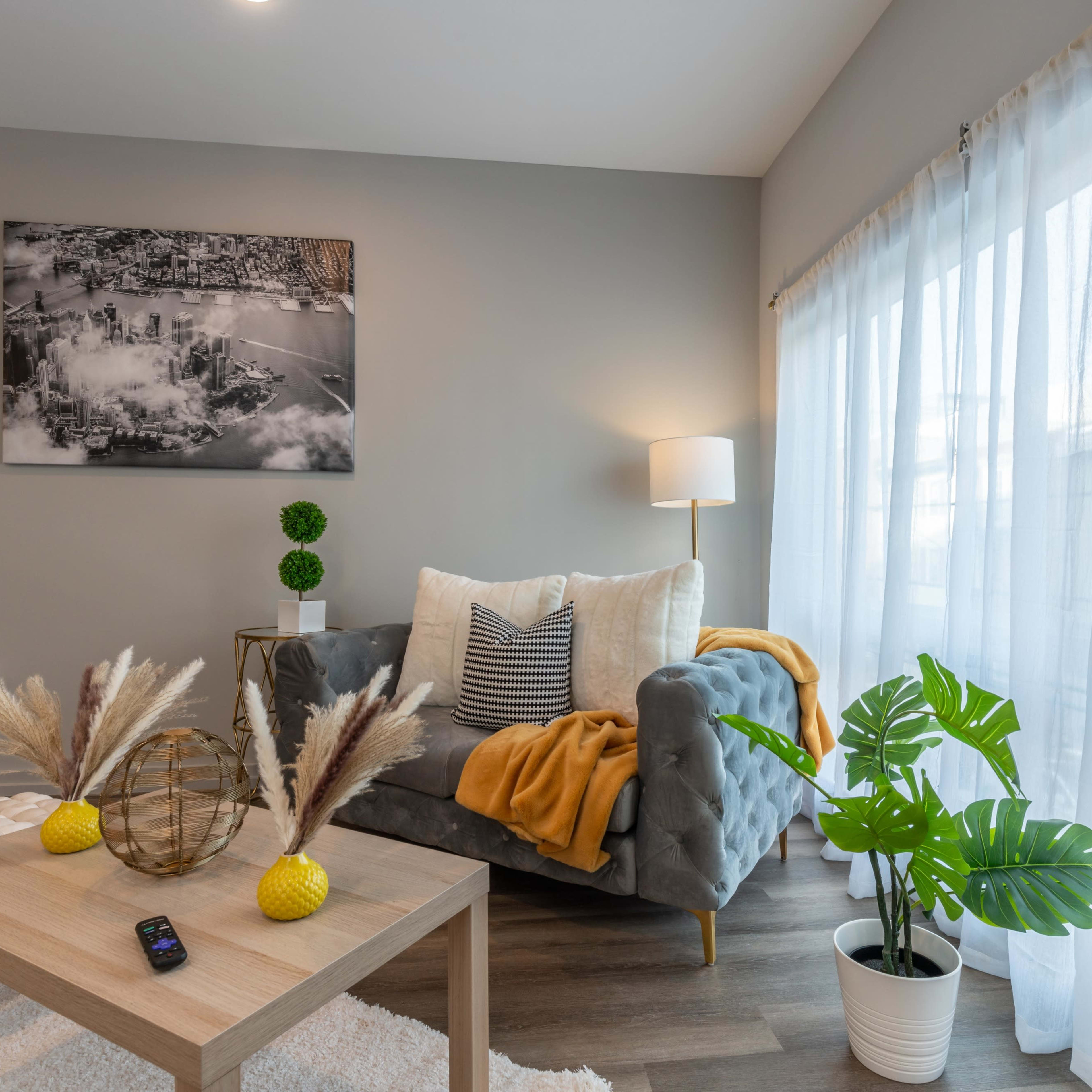 A light-filled living room features a gray couch, a wooden coffee table with decorative items, and a potted plant beside large windows.