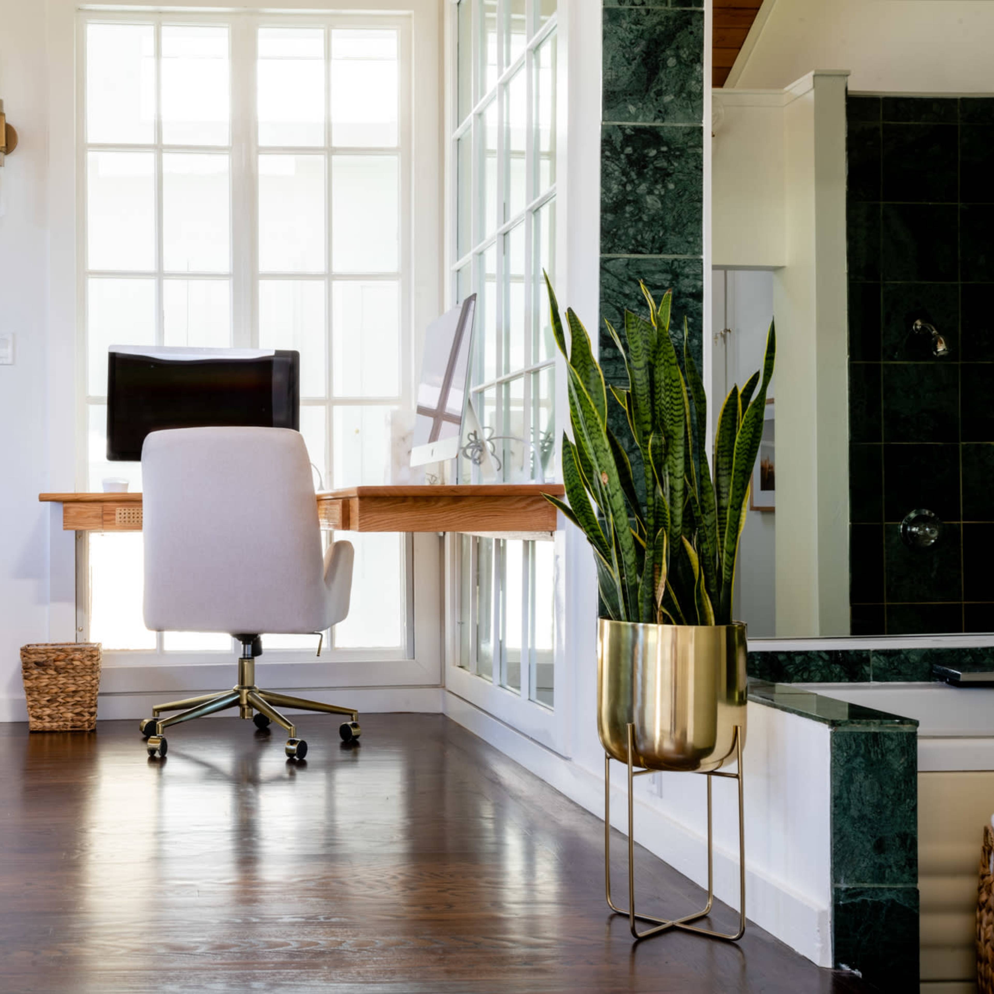 A modern home office featuring a desk with a computer chair, a large window, and a potted plant.