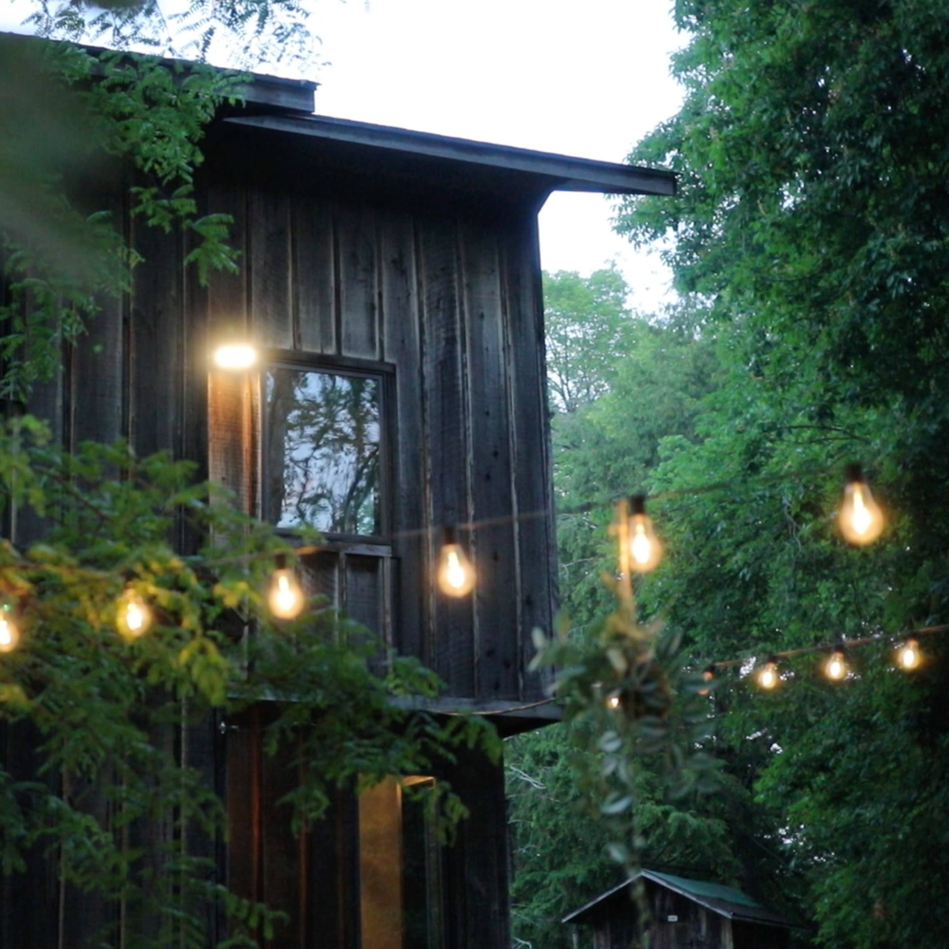 A wooden house is partially obscured by foliage and illuminated by string lights in the evening.