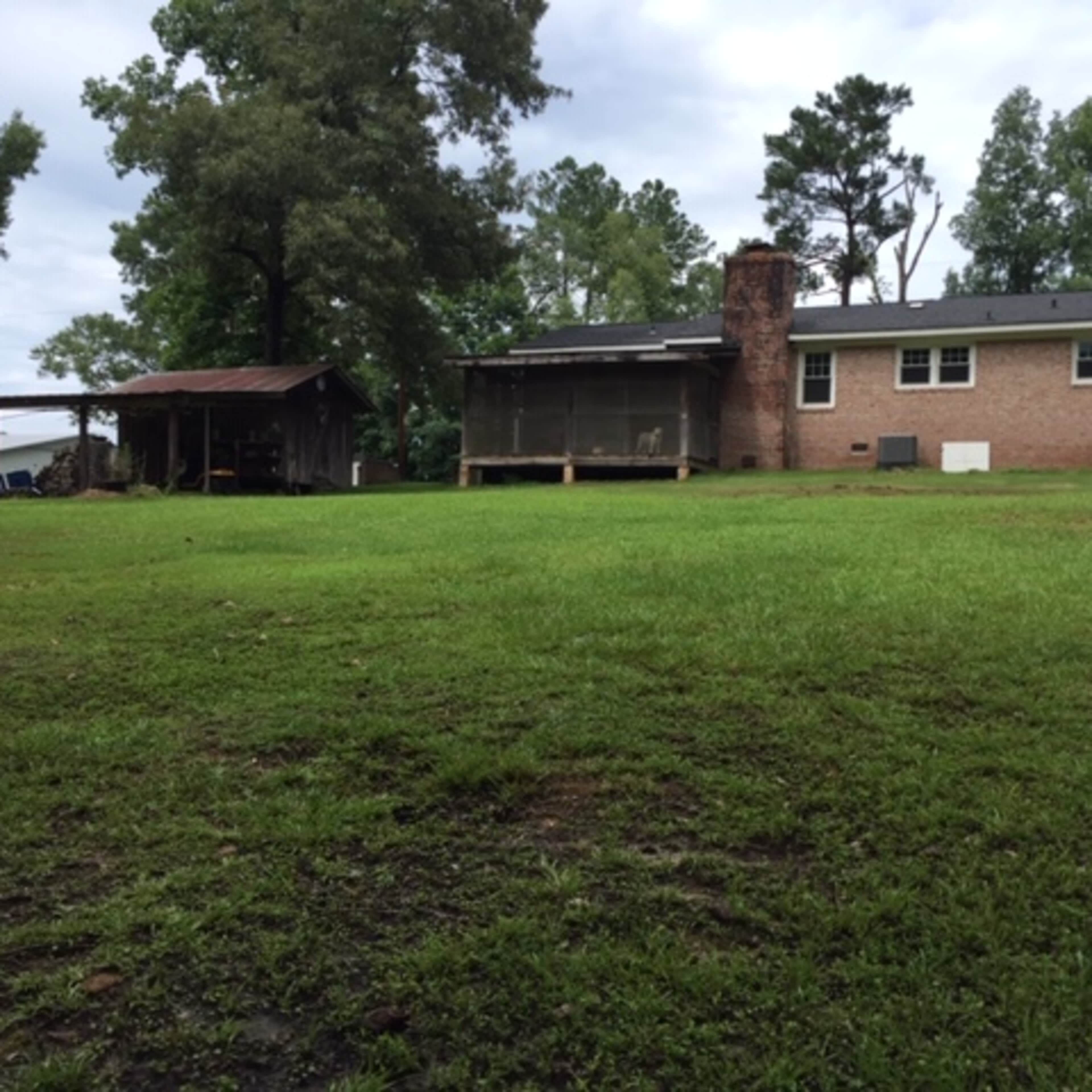 A grassy yard with a brick house, a wooden shed, and a chimney in a wooded area.