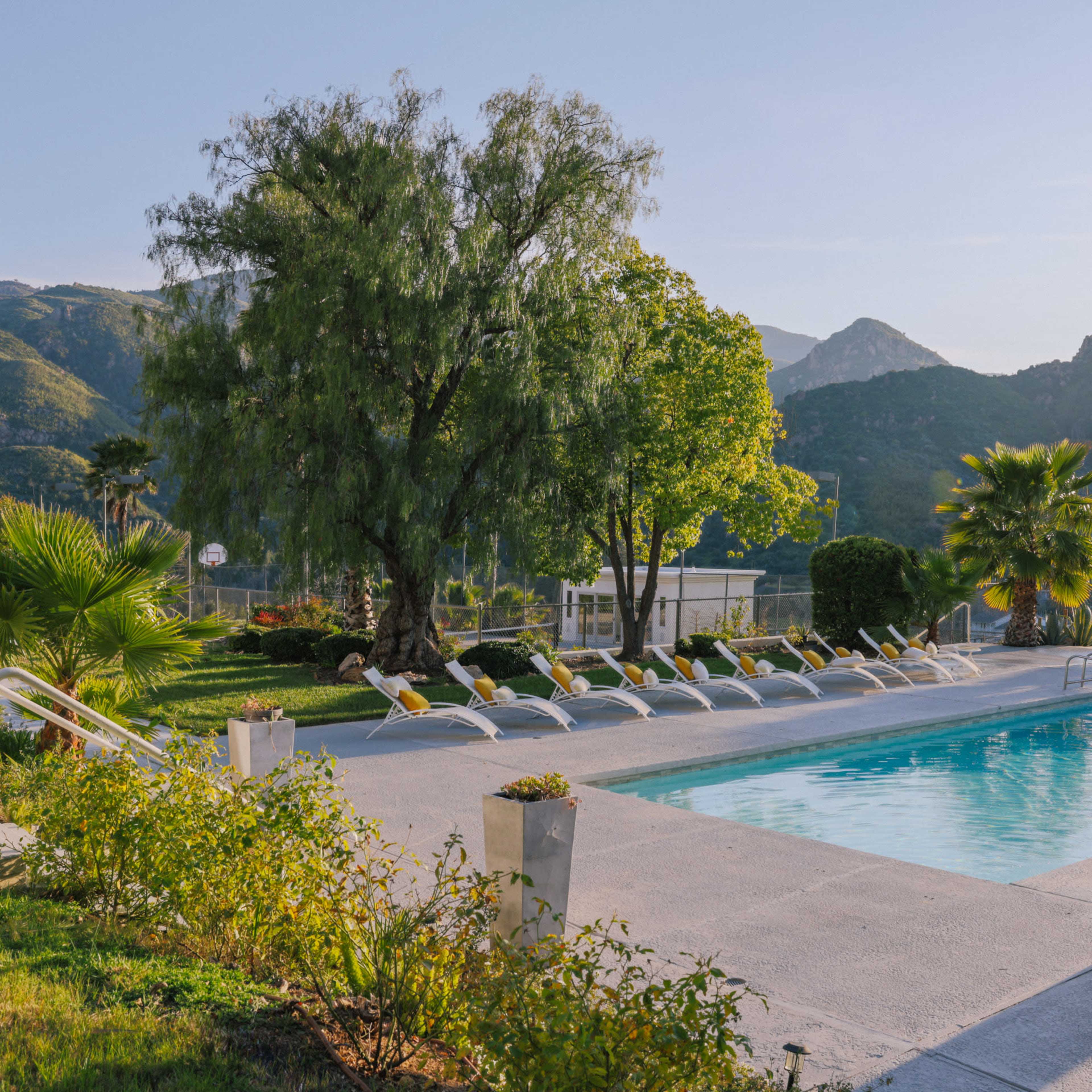 A swimming pool surrounded by neatly arranged lounge chairs, with mountains and greenery in the background.