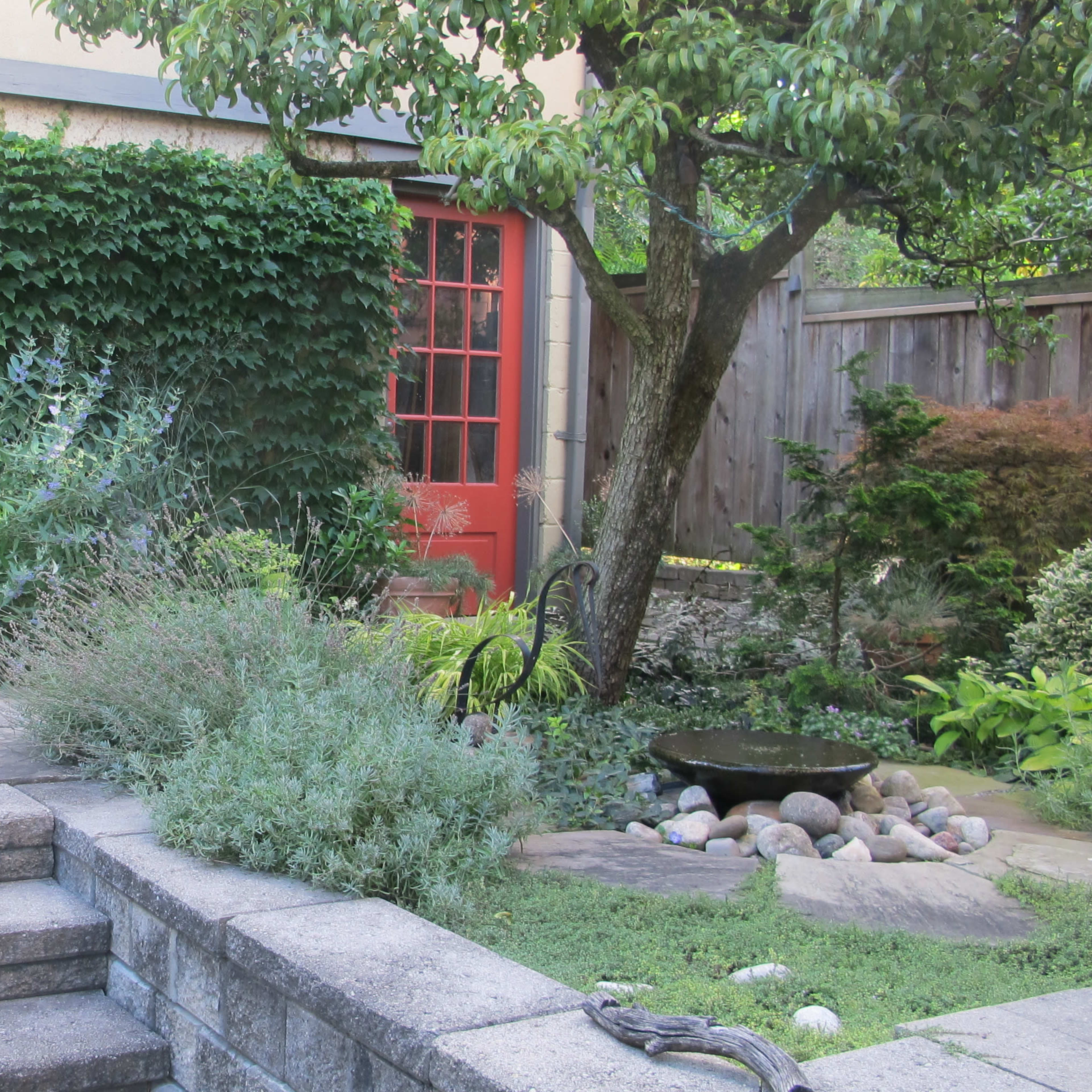 A stone patio features steps leading to a vibrant garden with various plants, a flowering bush, and a red door in the background.