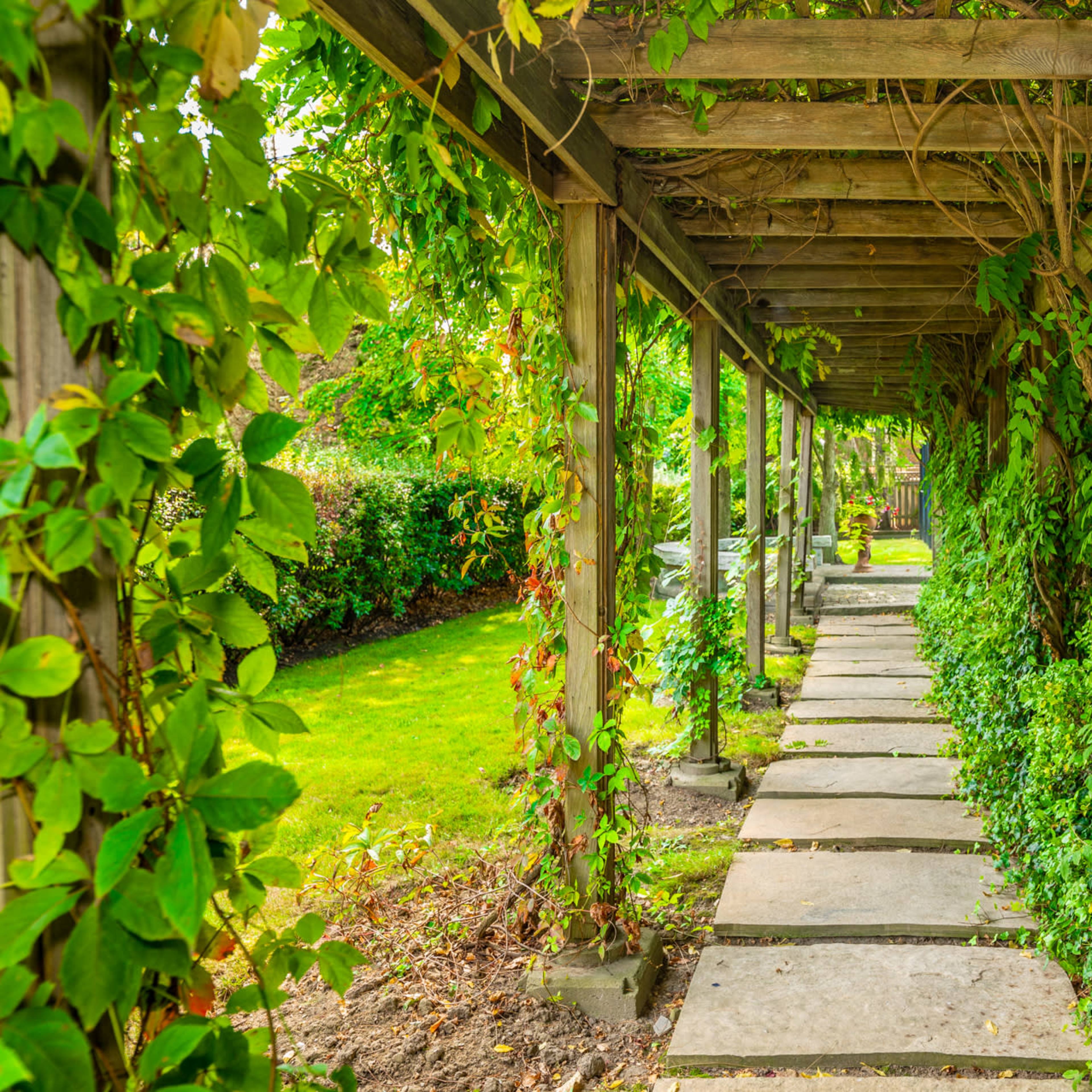 A stone pathway runs under a wooden pergola, surrounded by dense green vines and foliage.