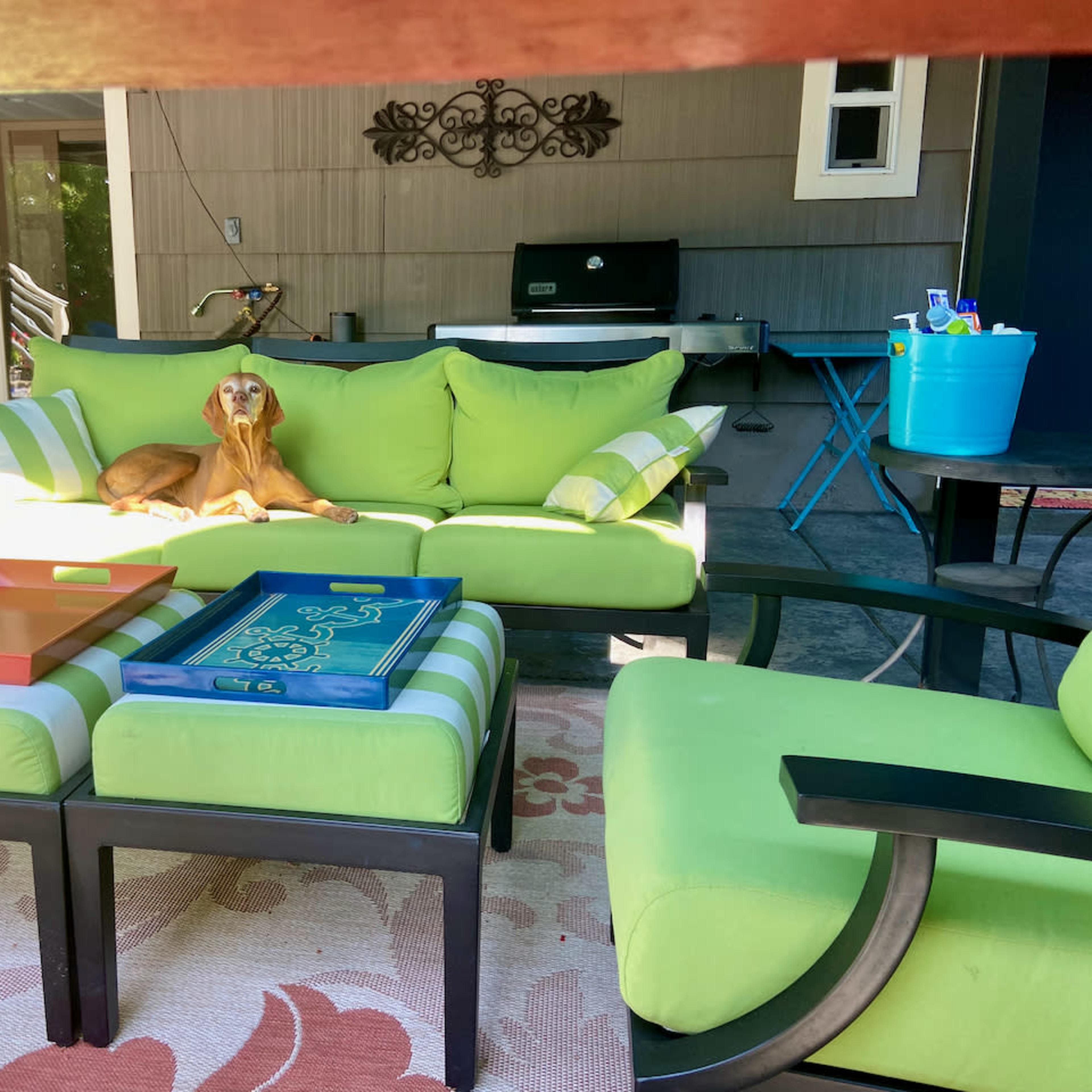 A dog lies on a green couch surrounded by patio furniture and colorful trays on a covered porch.