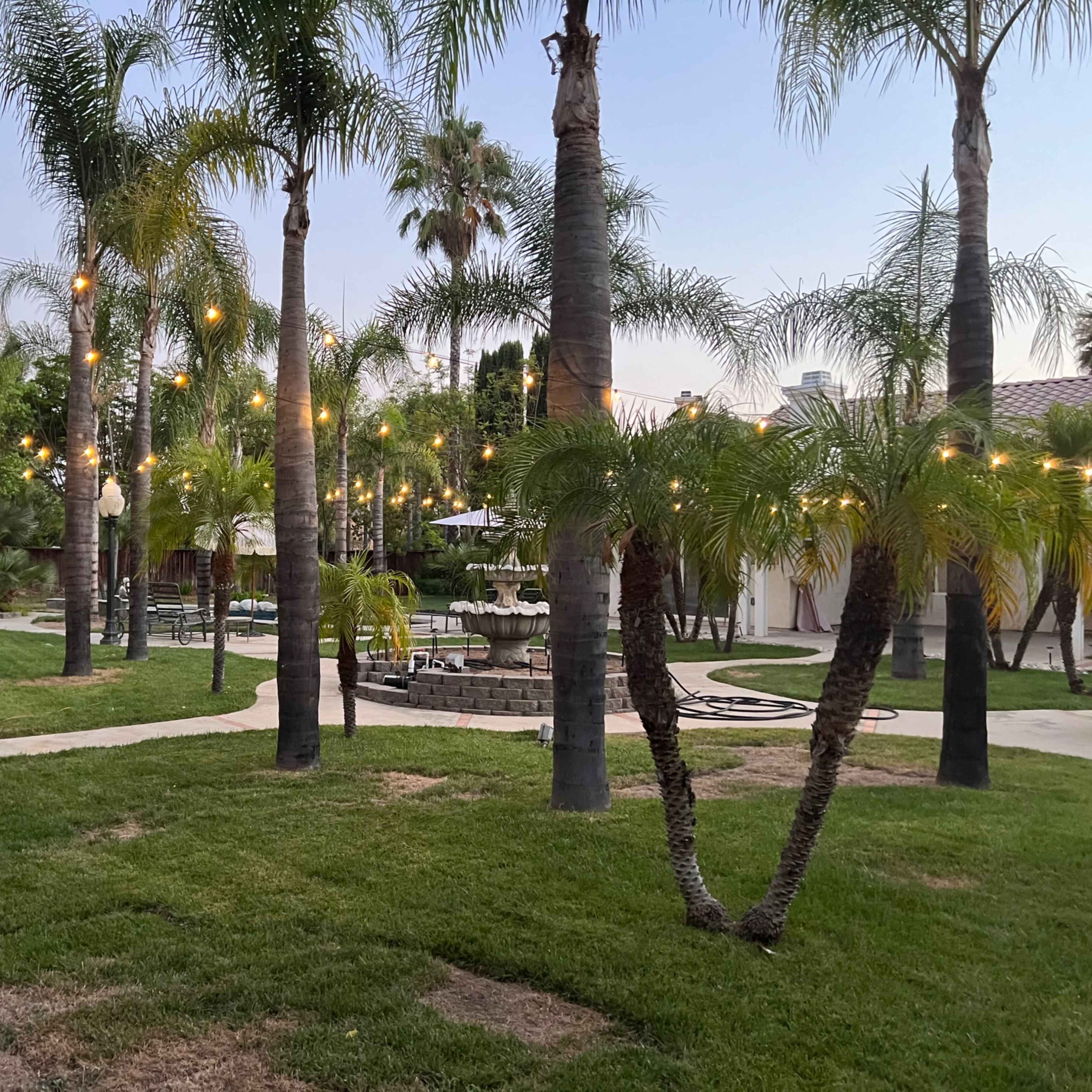 Beautiful Backyard Oasis Image in Murrieta, Murrieta, CA