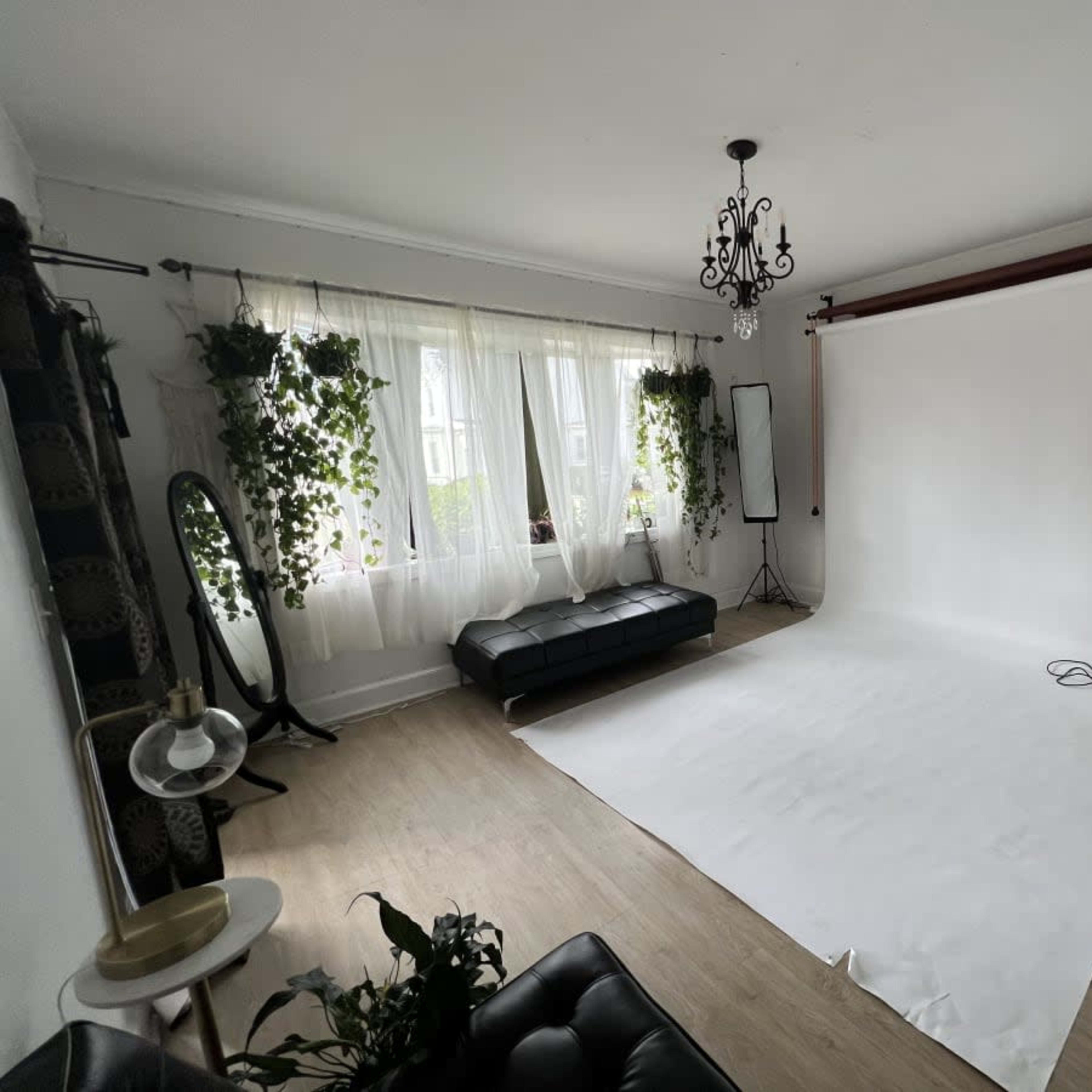 A bright photography studio with a white backdrop, green plants, a black sofa, and a large softbox lighting setup.