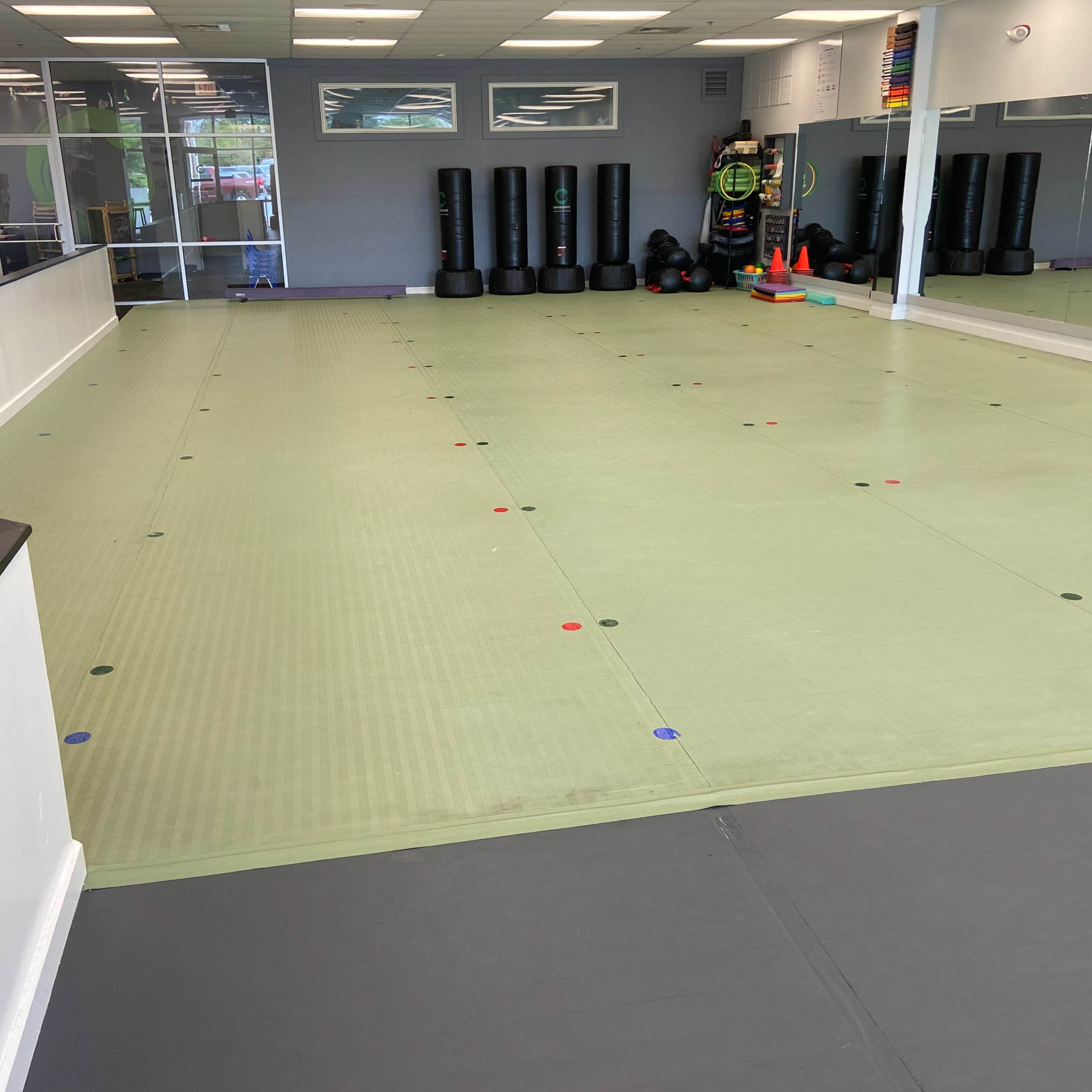 An empty training studio with a green mat, various training equipment along the walls, and large mirrors reflecting the space.