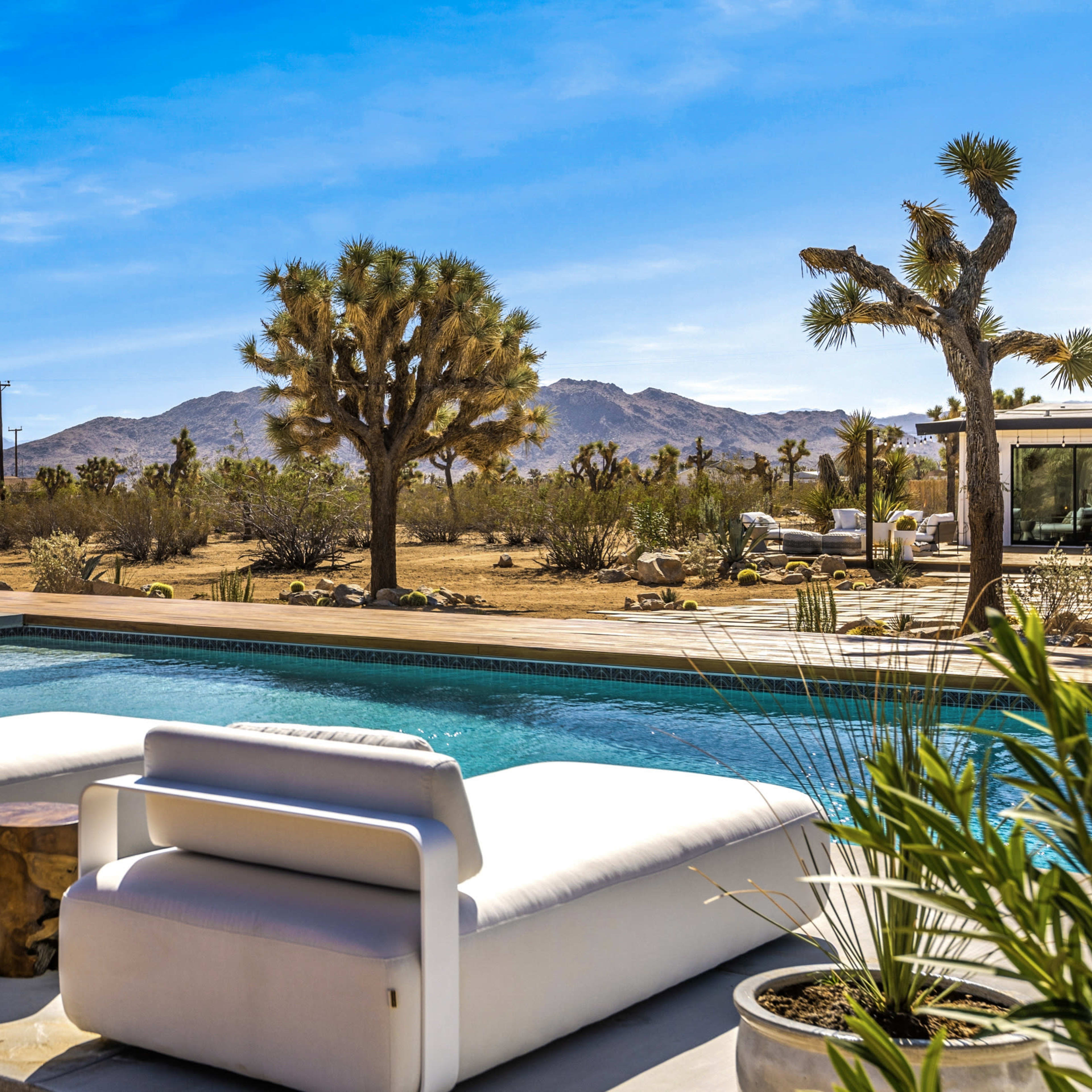 The scene features a serene pool area with white loungers overlooking a desert landscape dotted with Joshua trees and mountains in the distance.