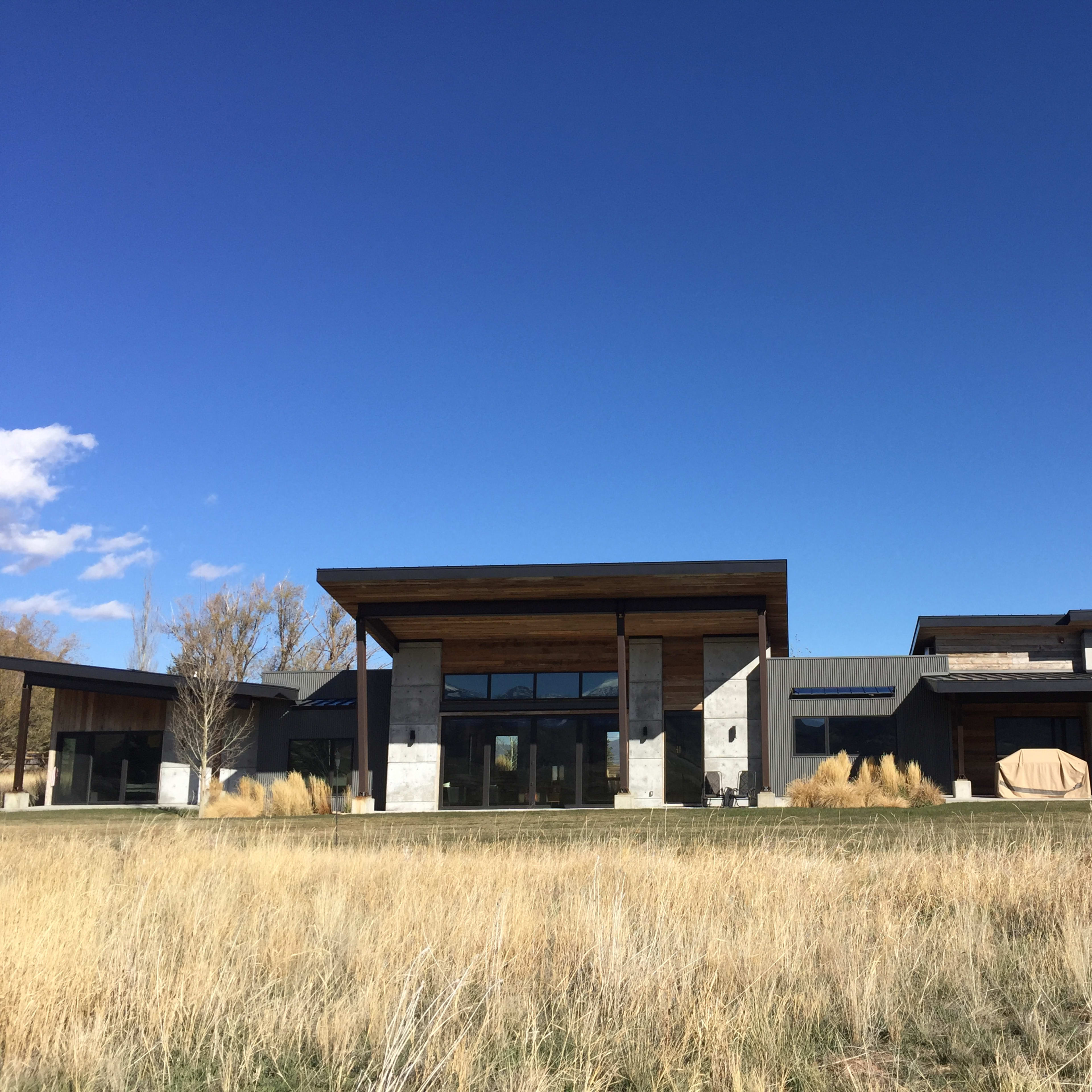 A modern single-story house with a flat roof and large windows sits in a field of tall grass under a clear blue sky.