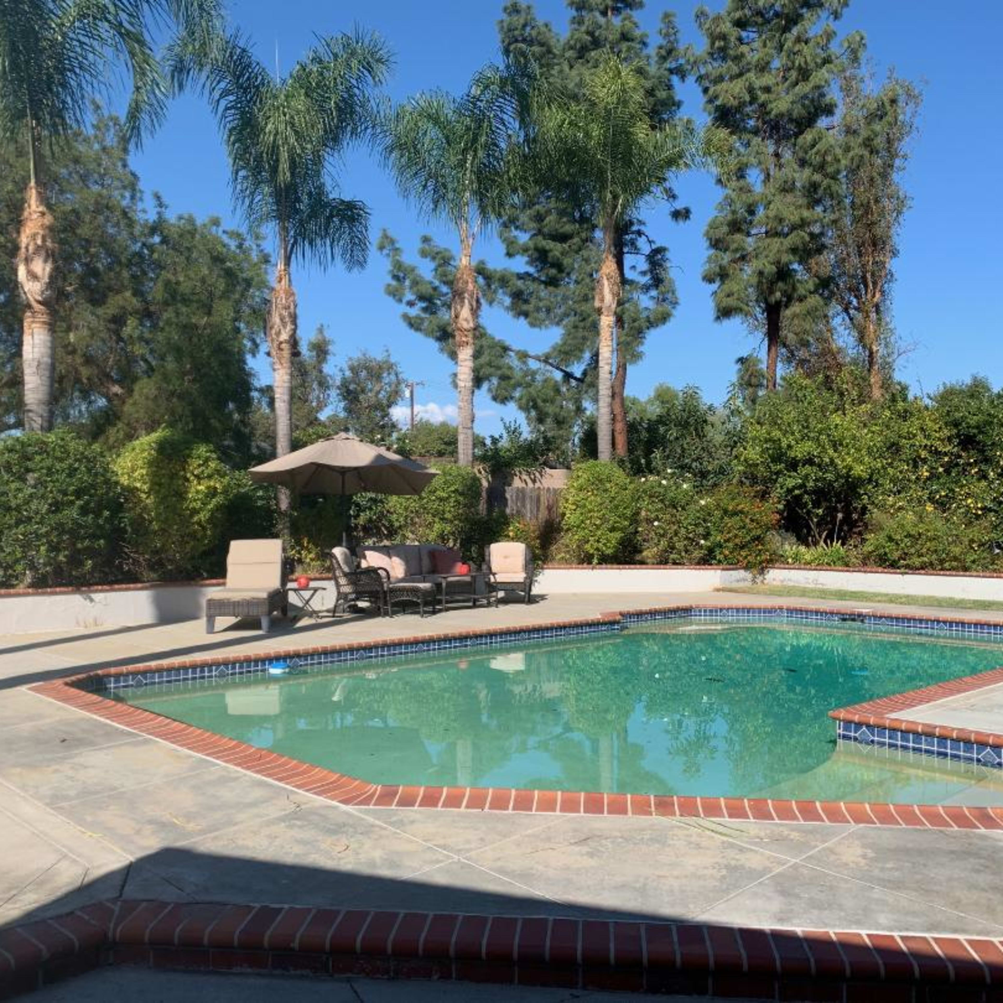 A vacant pool area features a square swimming pool surrounded by palm trees, lounge chairs, and an umbrella on a clear day.