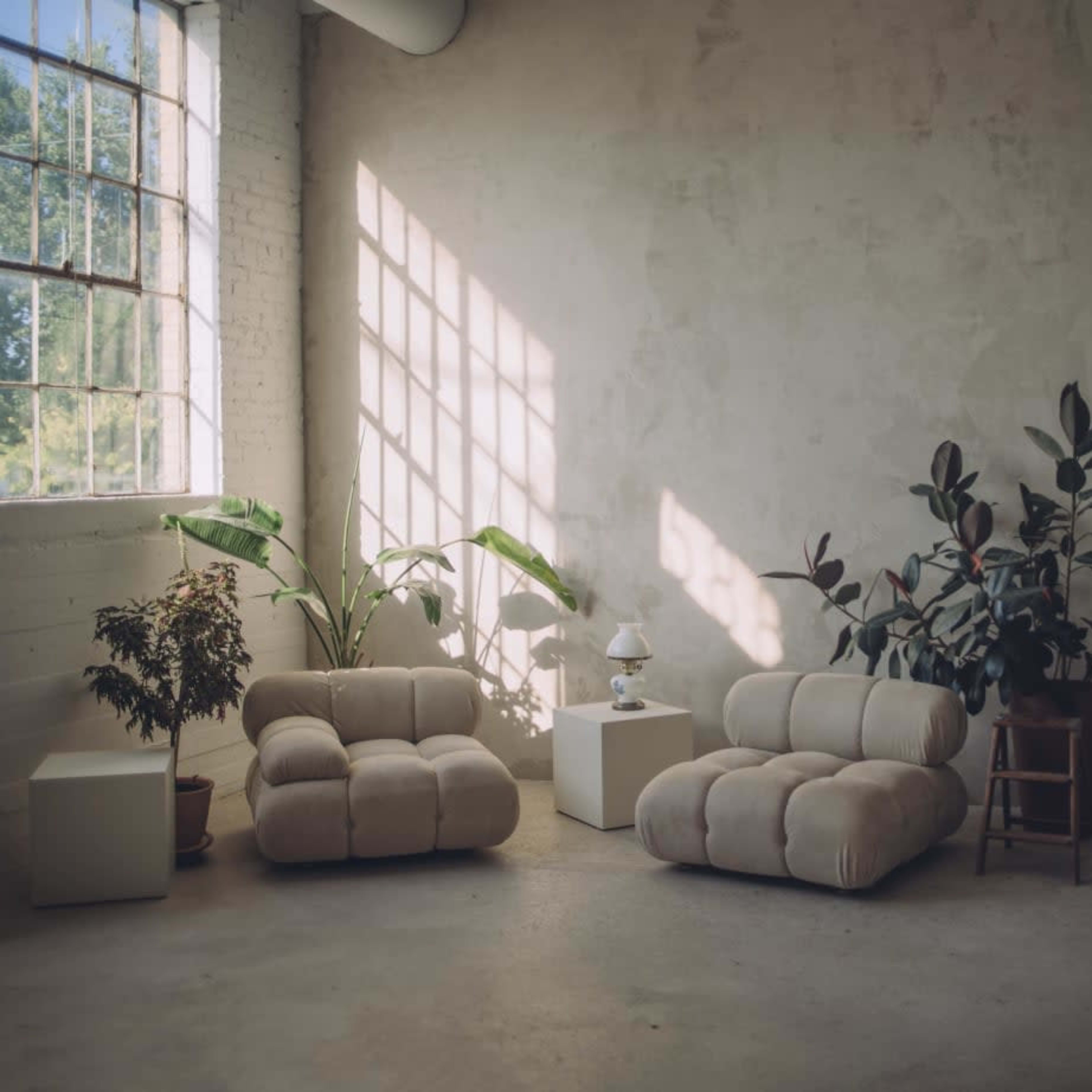 A minimalist interior space with two beige couches, a small white table, a lamp, and potted plants against a textured wall and large windows.