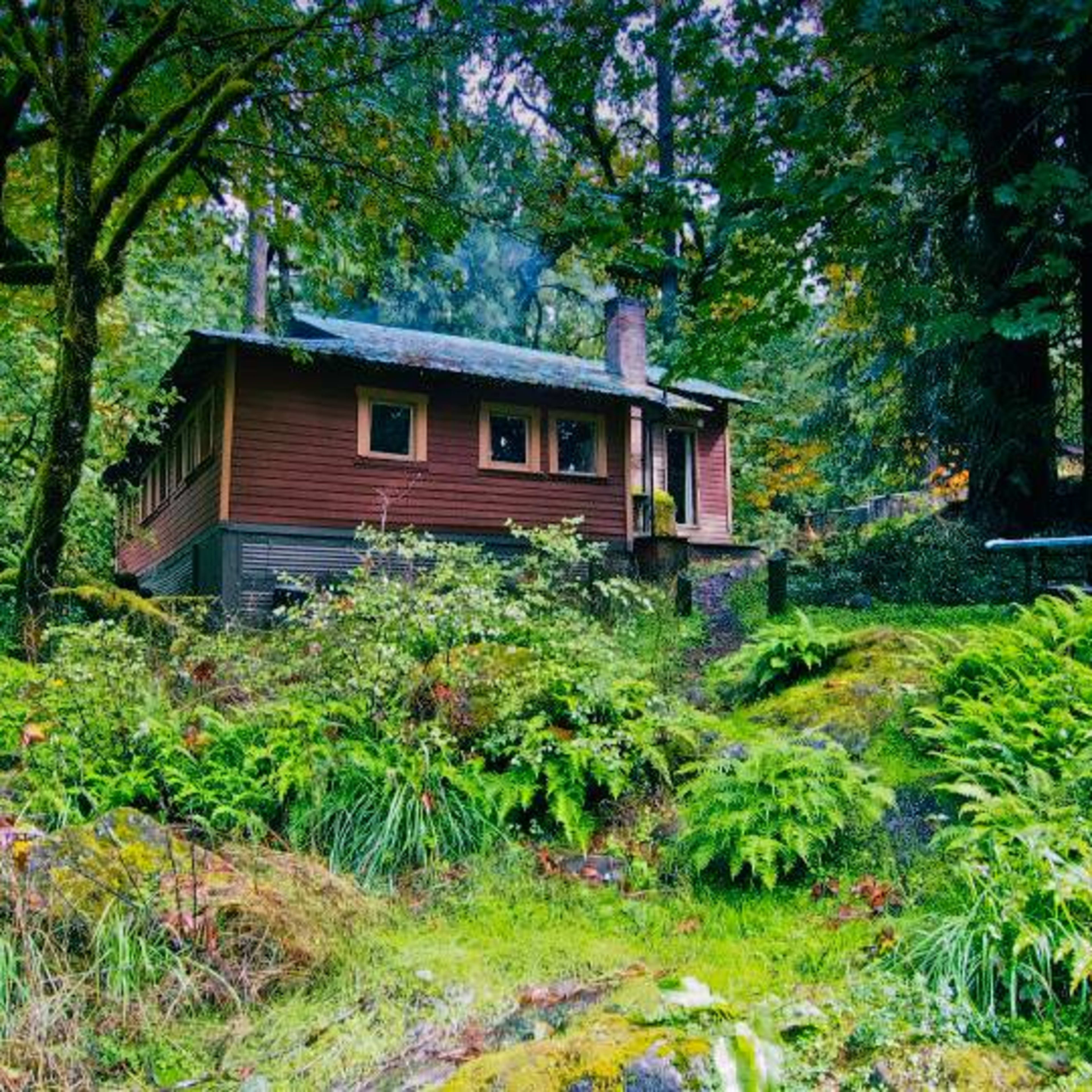 A brown cottage is nestled among lush green foliage in a forested area.