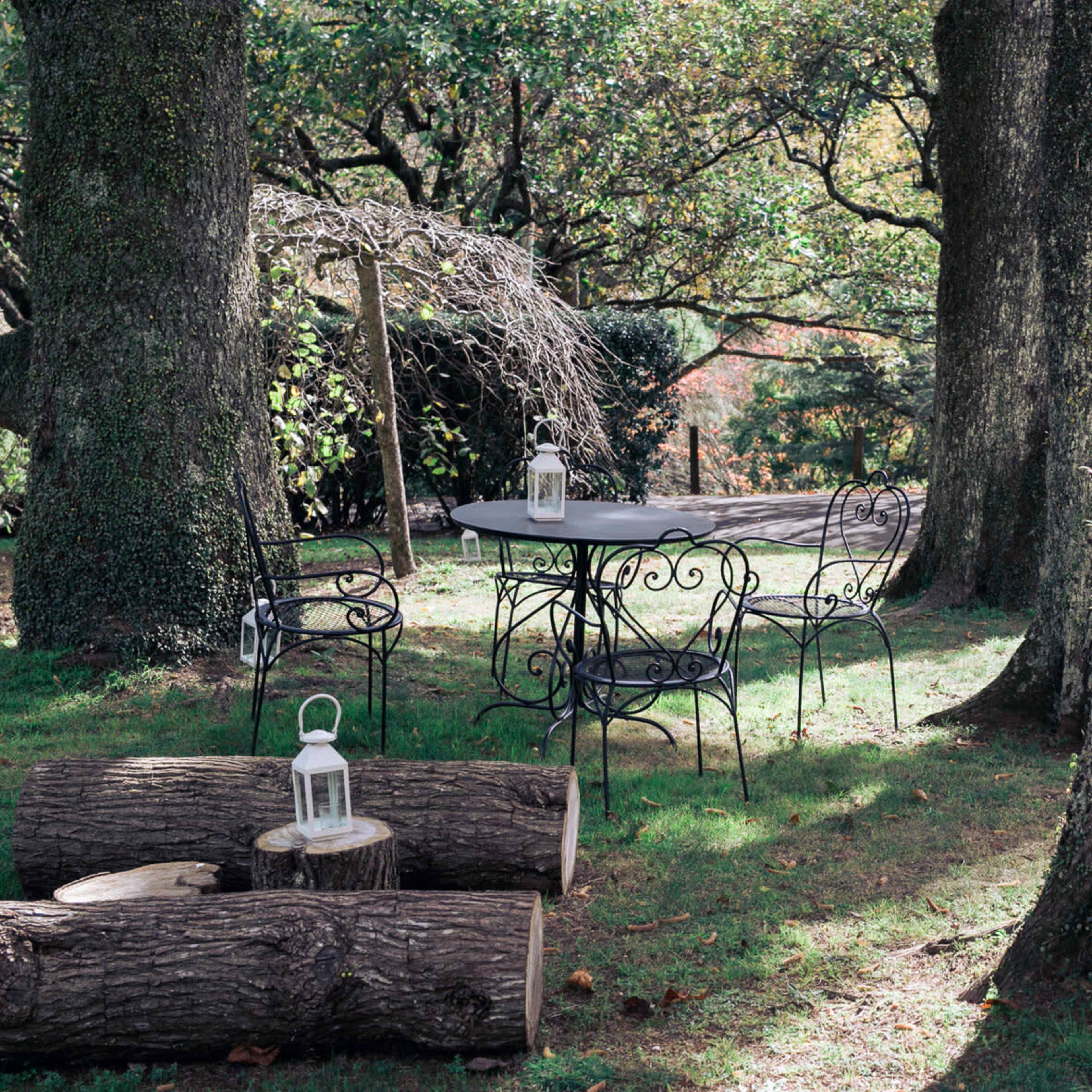 A metal table and chairs are set in a grassy area surrounded by large trees, with logs serving as additional seating.
