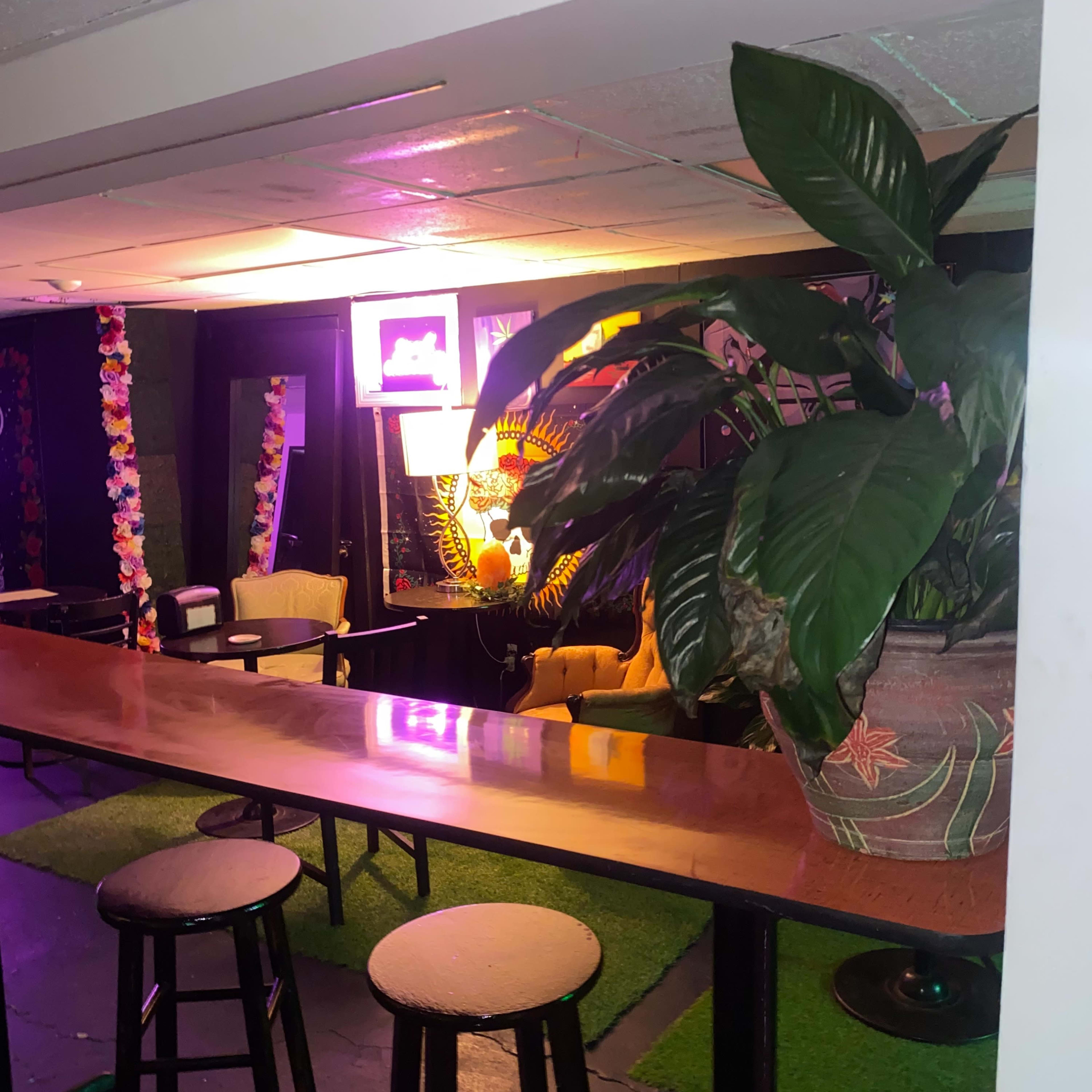 A spacious interior with a long wooden bar, seating stools, and decorative plants, illuminated by colorful lights.