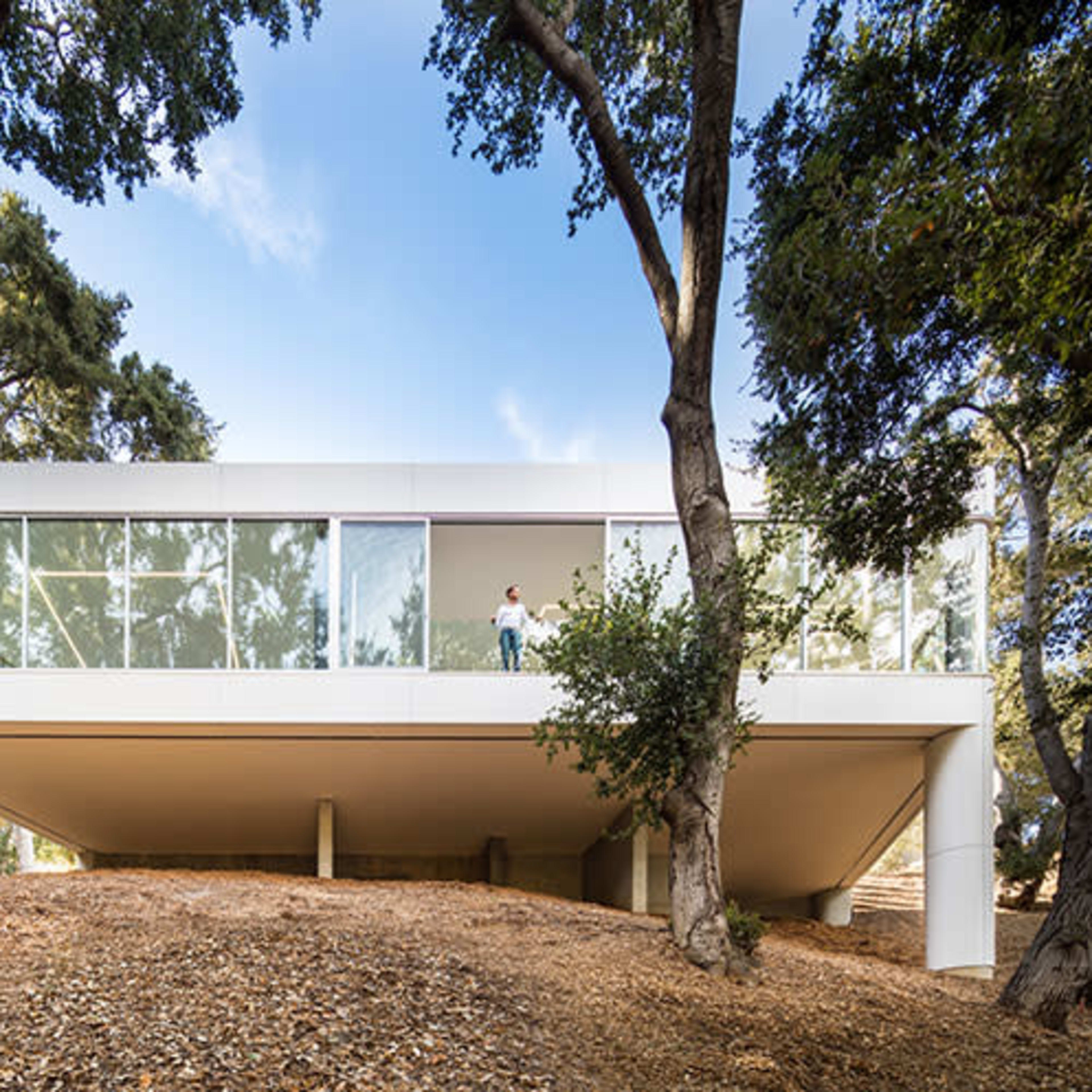 A modern, glass-enclosed house stands elevated on concrete pillars amid trees on a sloping hillside.