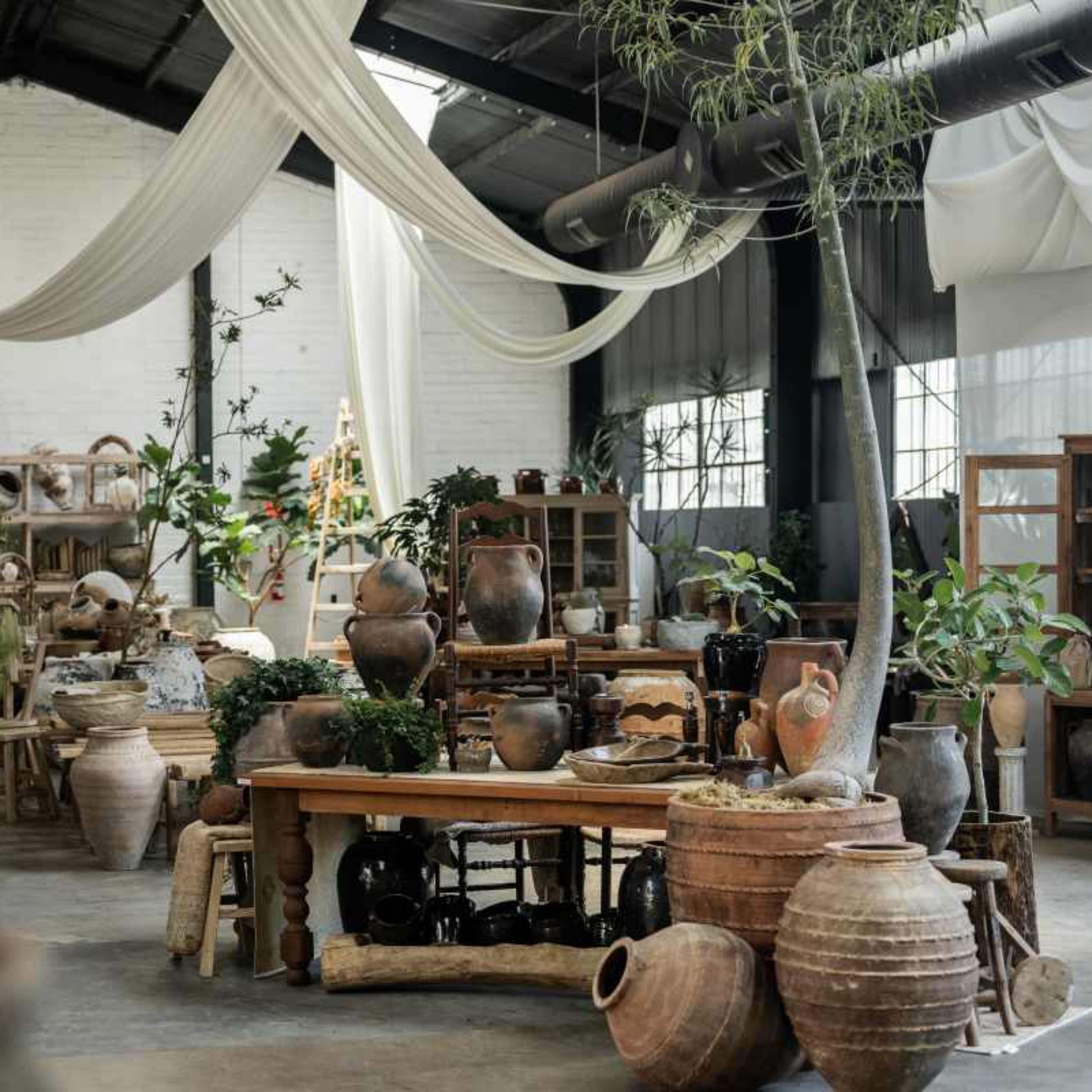 A spacious interior of a plant nursery or home decor shop featuring various potted plants, wooden furniture, and an assortment of ceramic jars and pots displayed throughout the room.