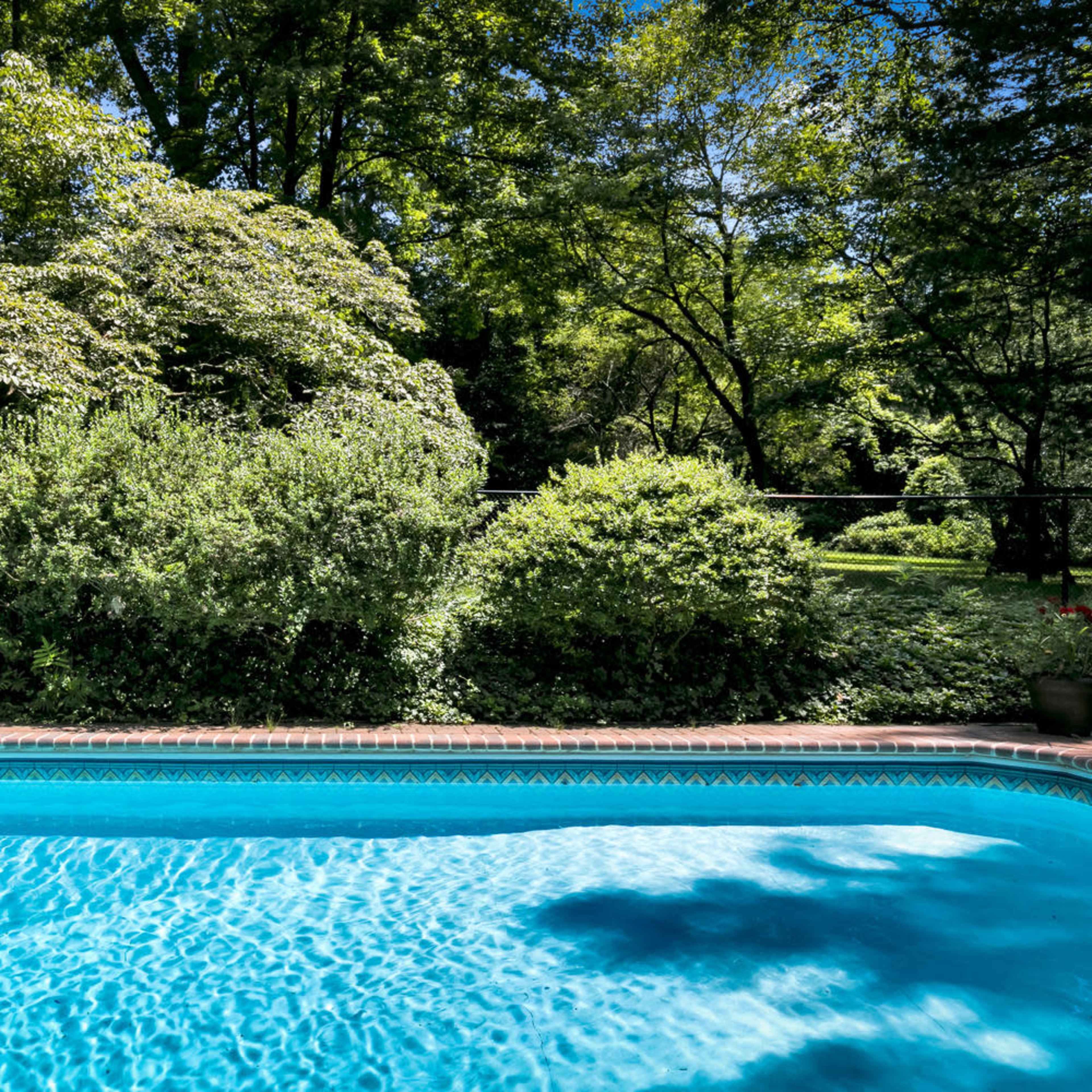 A clear blue swimming pool is surrounded by vibrant greenery and trees in a sunlit garden.