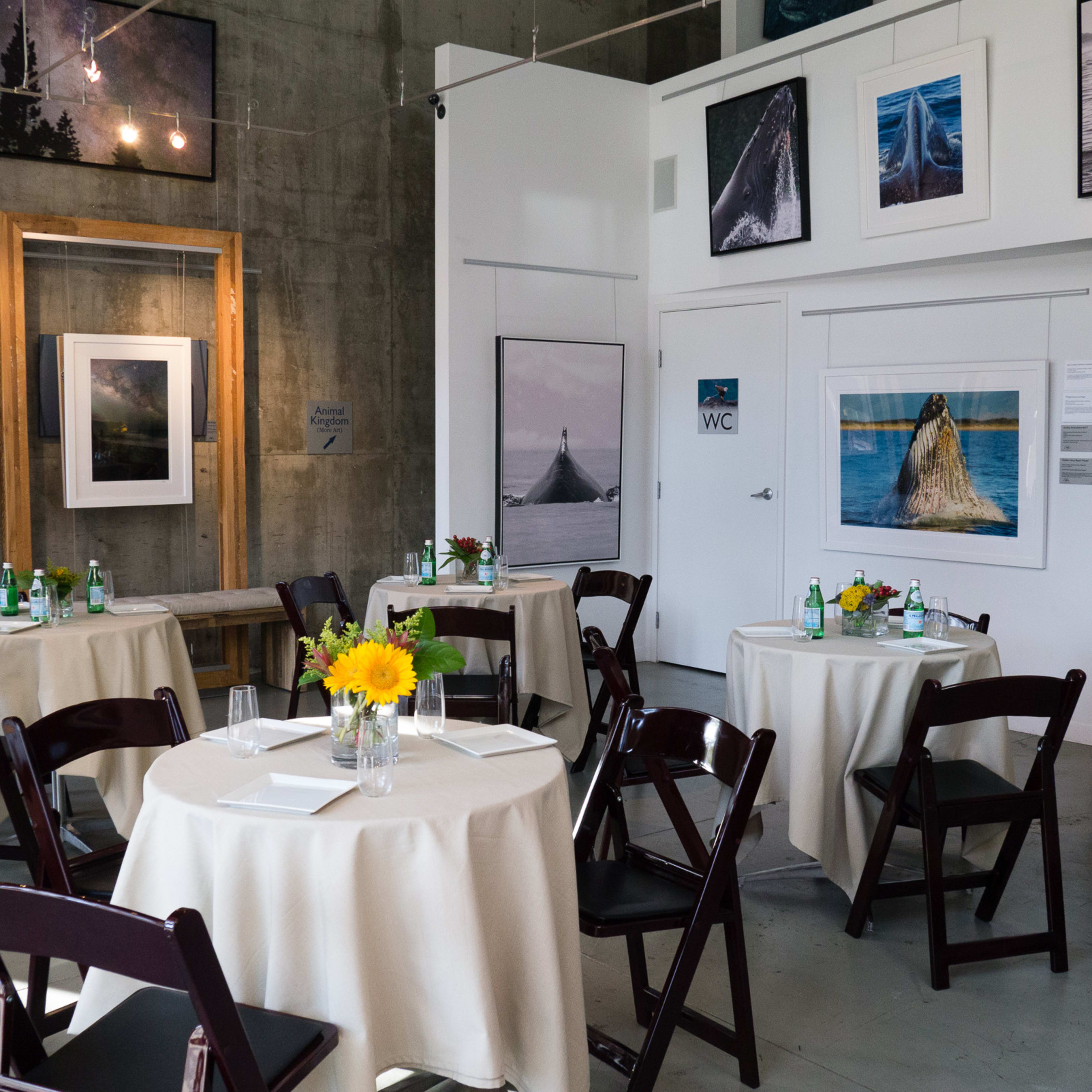The interior of the gallery features several round tables with light-colored tablecloths, surrounded by chairs, and adorned with vases of flowers, alongside framed photographs displayed on concrete walls.