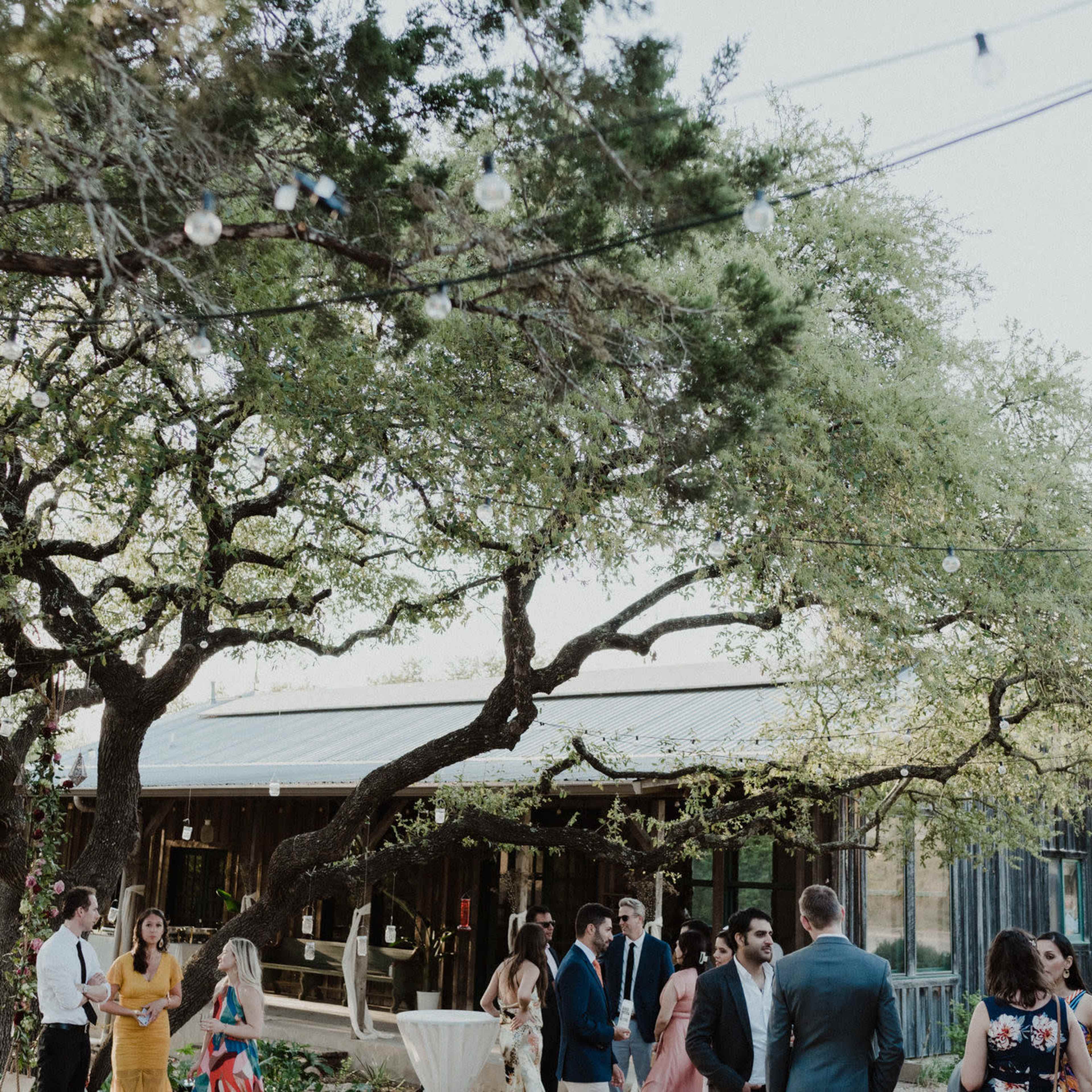 A gathering of people in formal attire is taking place outside a rustic venue surrounded by trees, with string lights overhead.