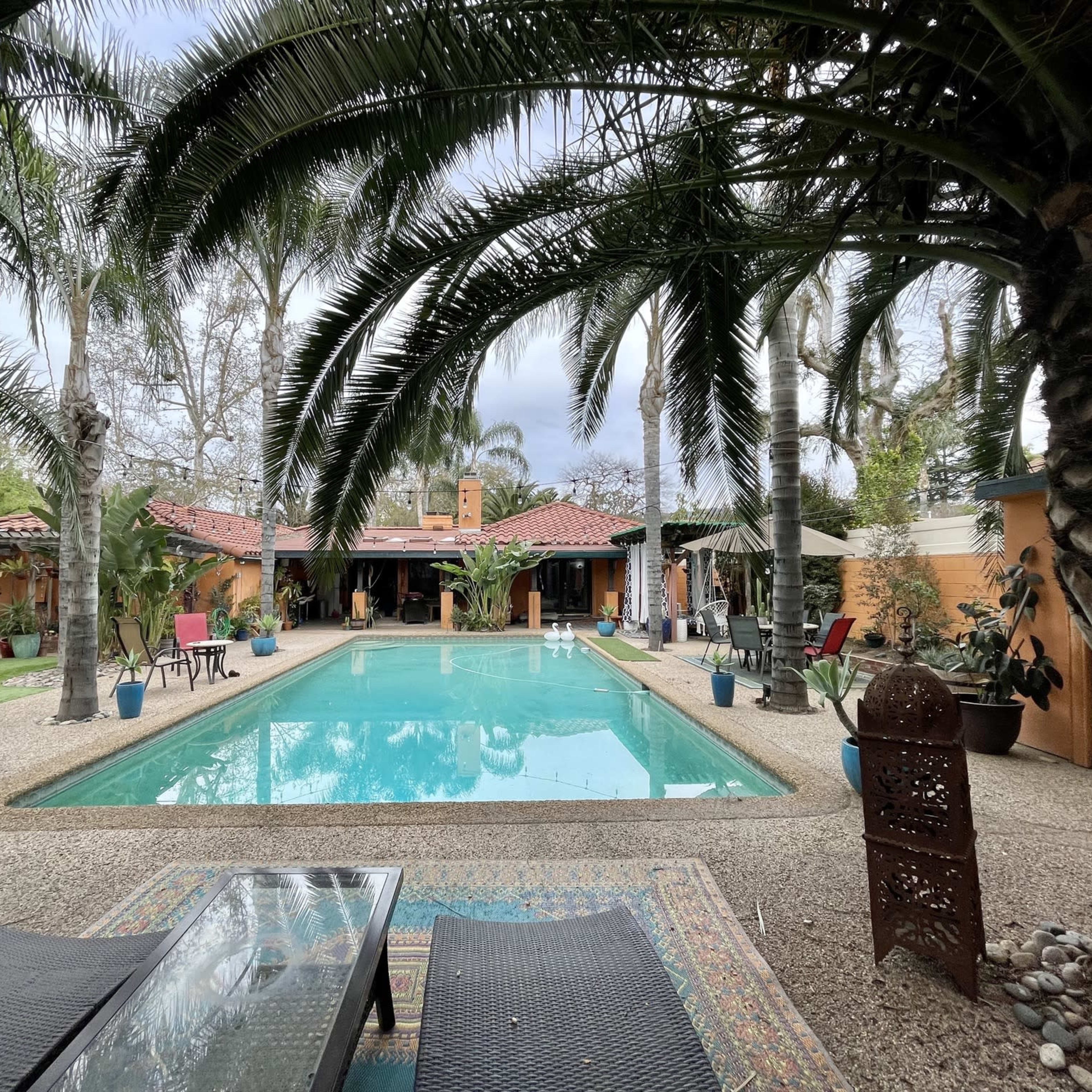 A swimming pool surrounded by palm trees and a landscaped courtyard features lounge chairs and potted plants near a single-story building.