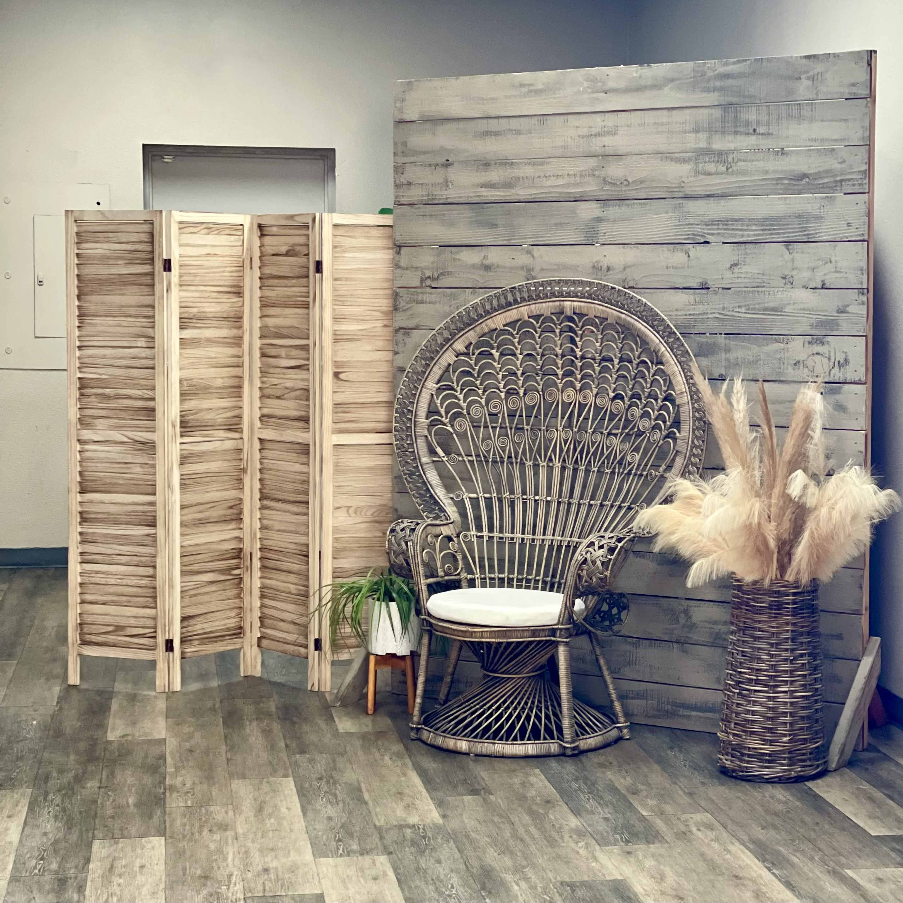 A minimalist interior space featuring a peacock chair, a potted plant, a woven basket, and a decorative folding screen against a textured wall.