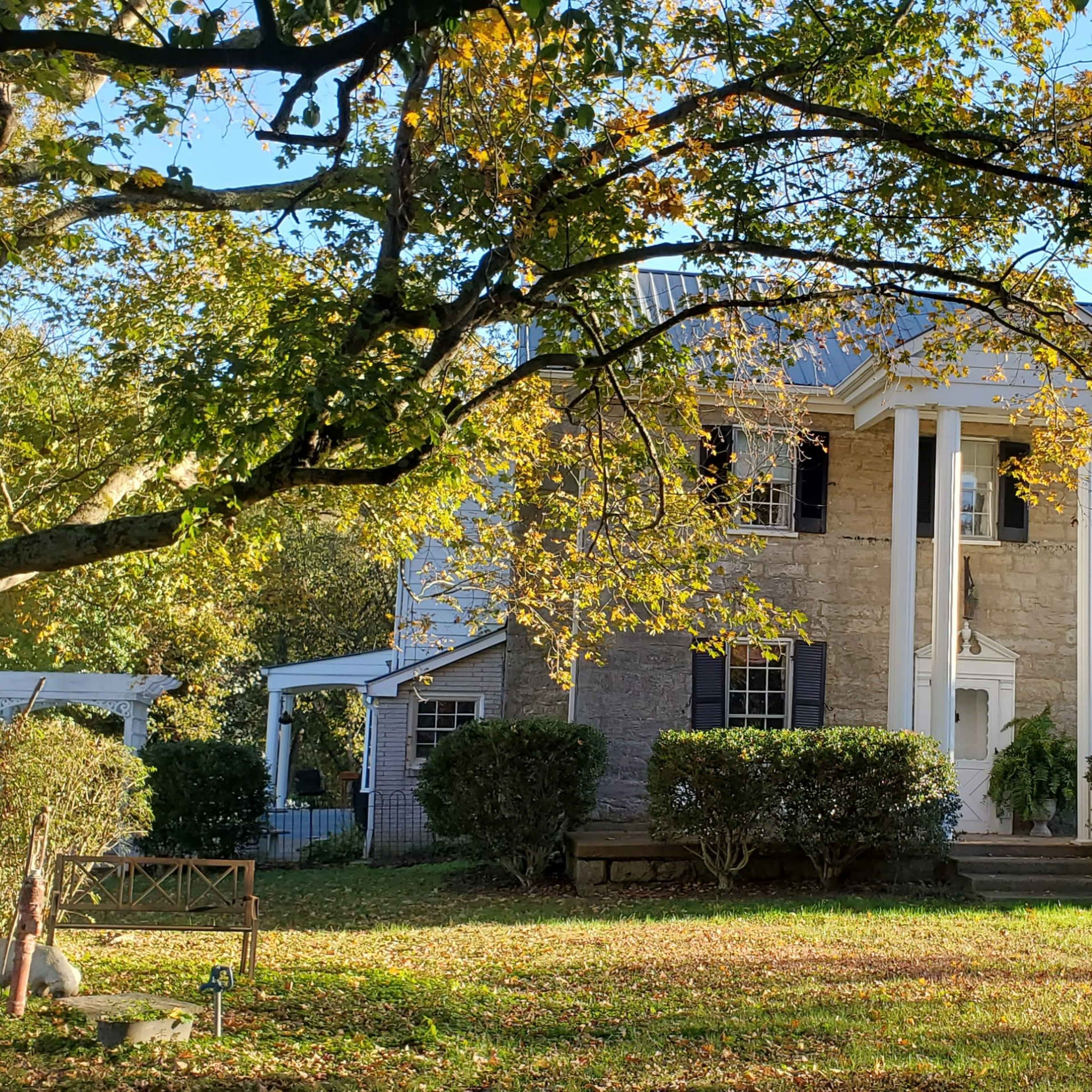 A two-story house with white columns and a stone facade is surrounded by trees and neatly trimmed shrubs in a yard dotted with fallen leaves.