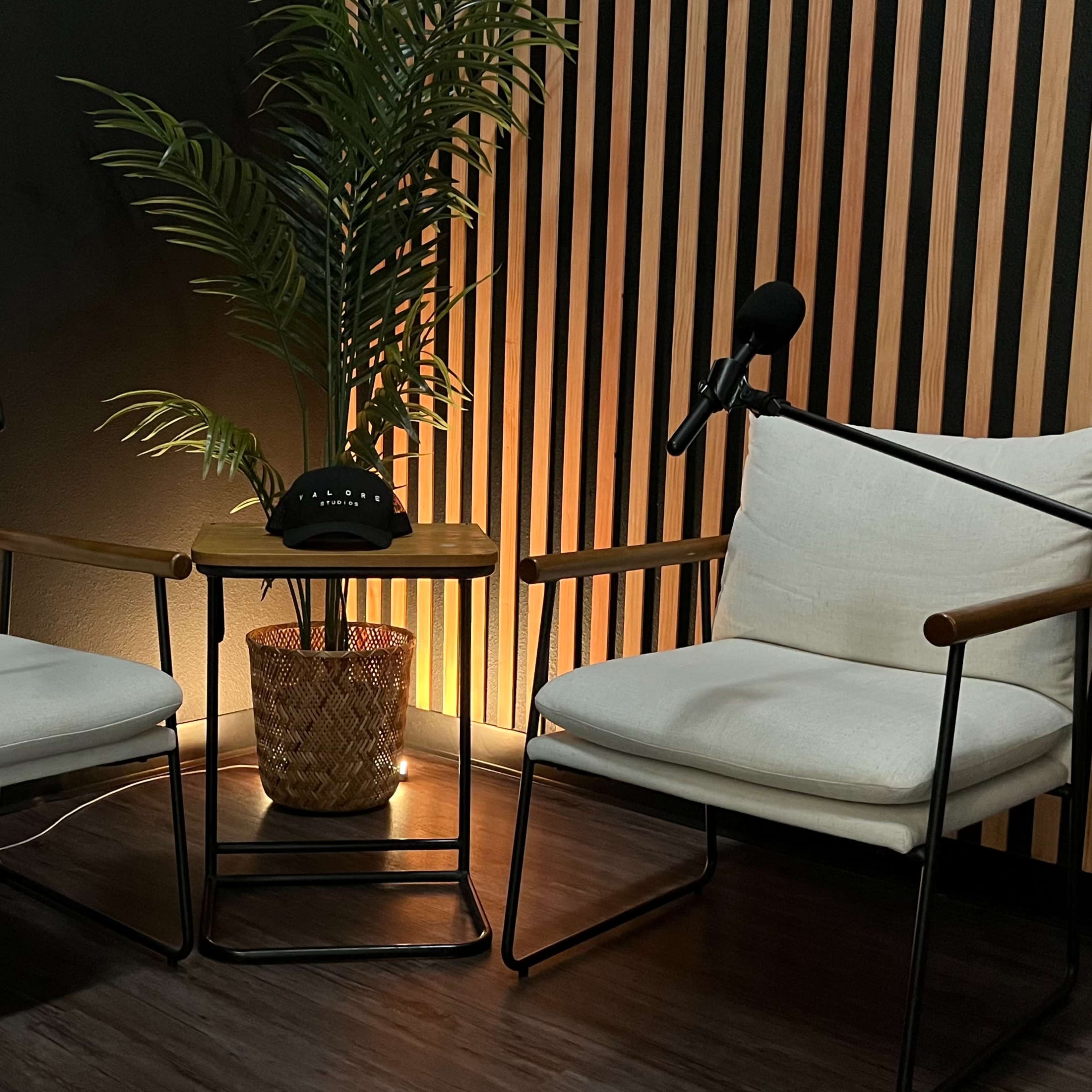 Podcasters & Content Creators: Serene, Nature-Inspired Filming & Recording Studio Image in Lakewood, Lakewood, CA