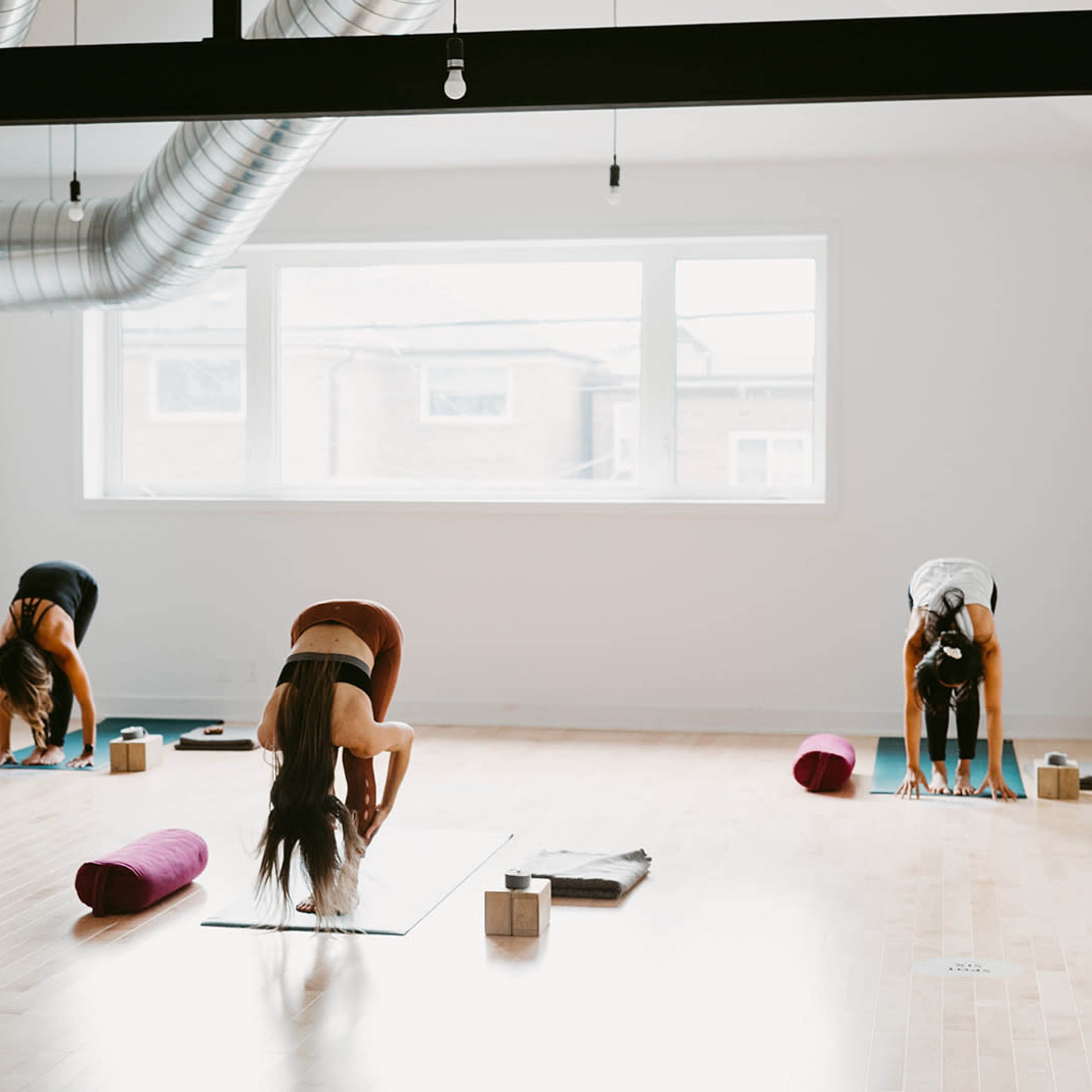 Three individuals perform forward bends on yoga mats in a spacious, well-lit studio.