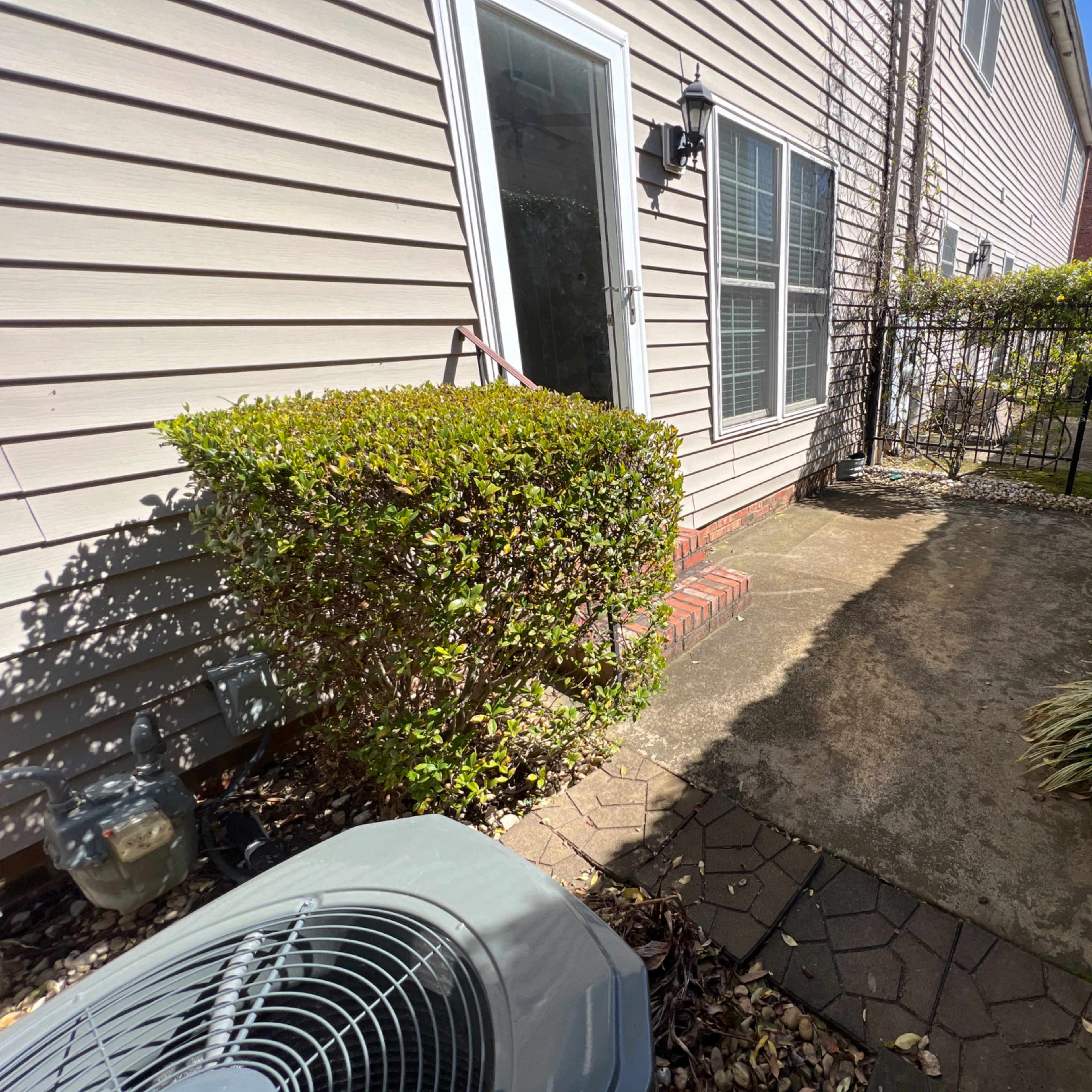 A concrete patio area beside a house, bordered by neatly trimmed shrubs and a fence.