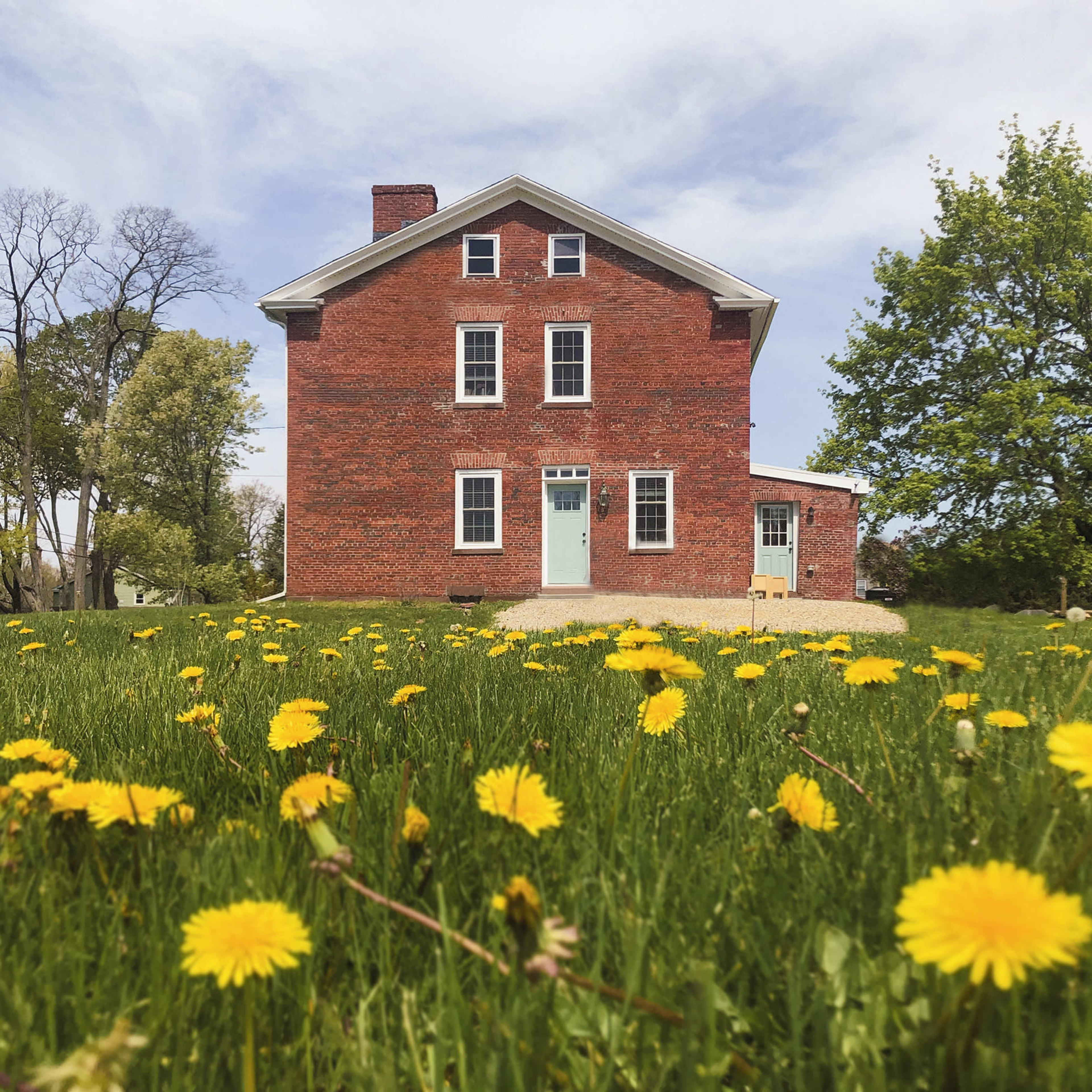 A red brick house with white trim stands in a field of yellow dandelions under a partly cloudy sky.