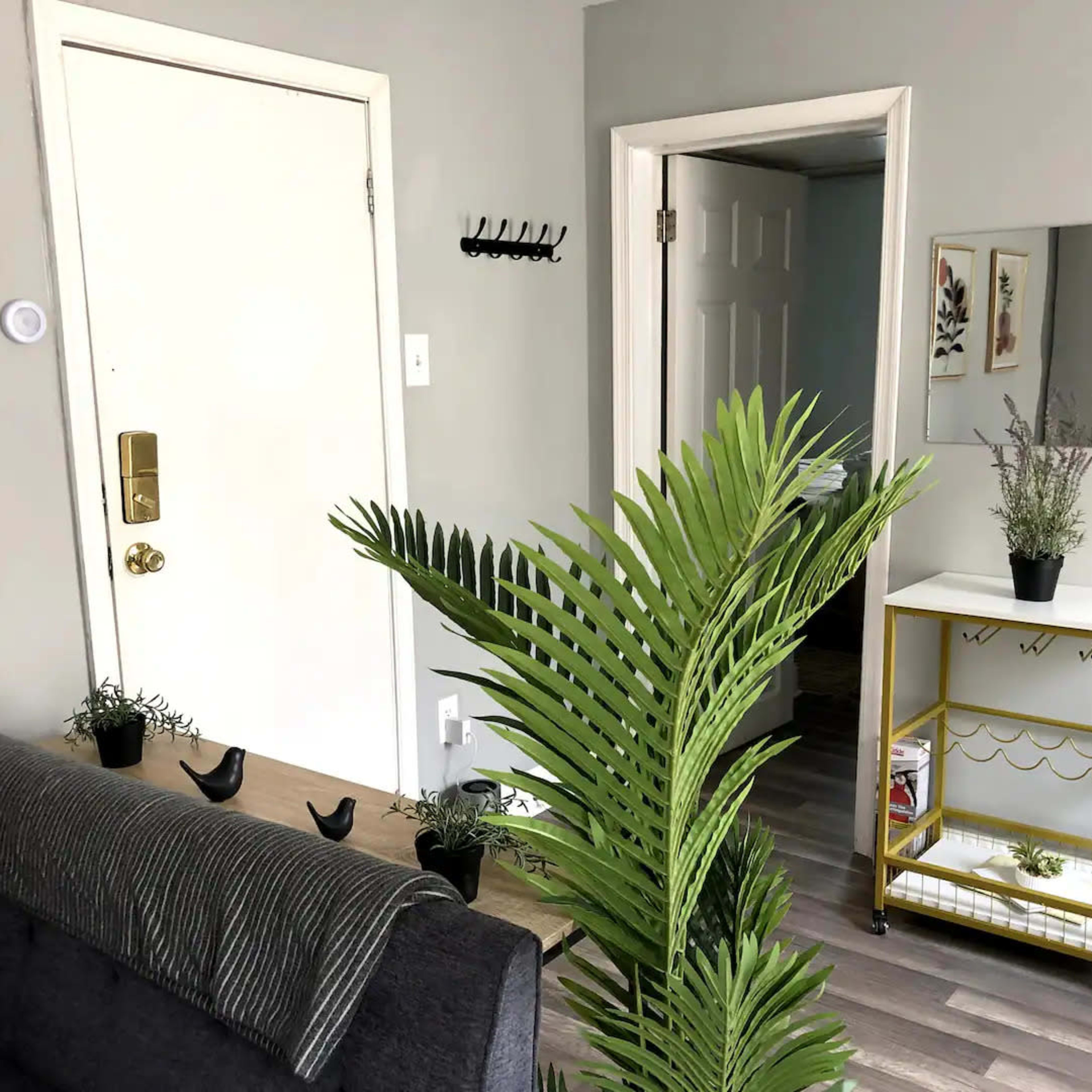 A small living area featuring a door leading outside, a mirror on a gold cart, a couple of indoor plants, and a gray couch.