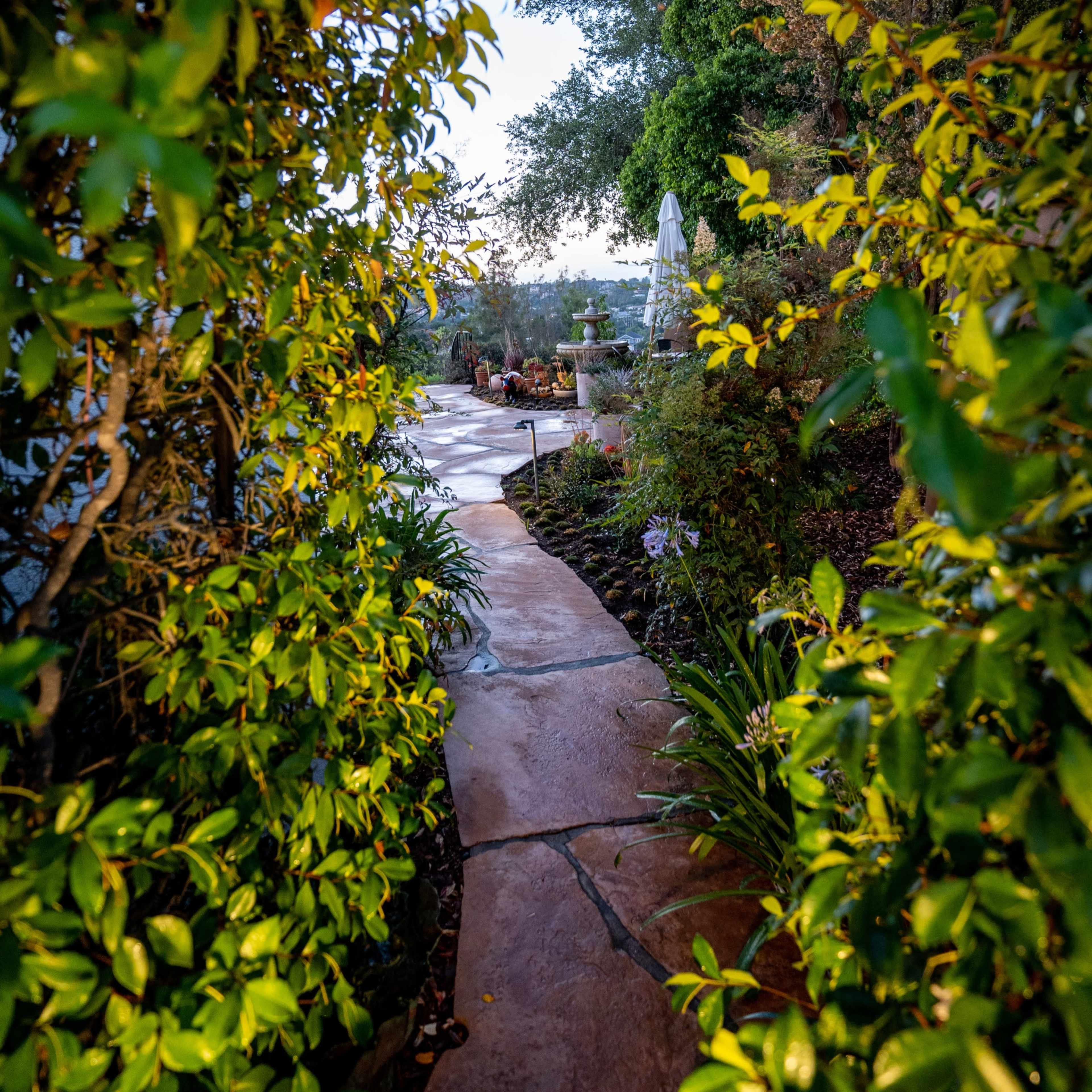 A stone pathway is flanked by lush greenery, leading to a sunlit patio area in a garden.