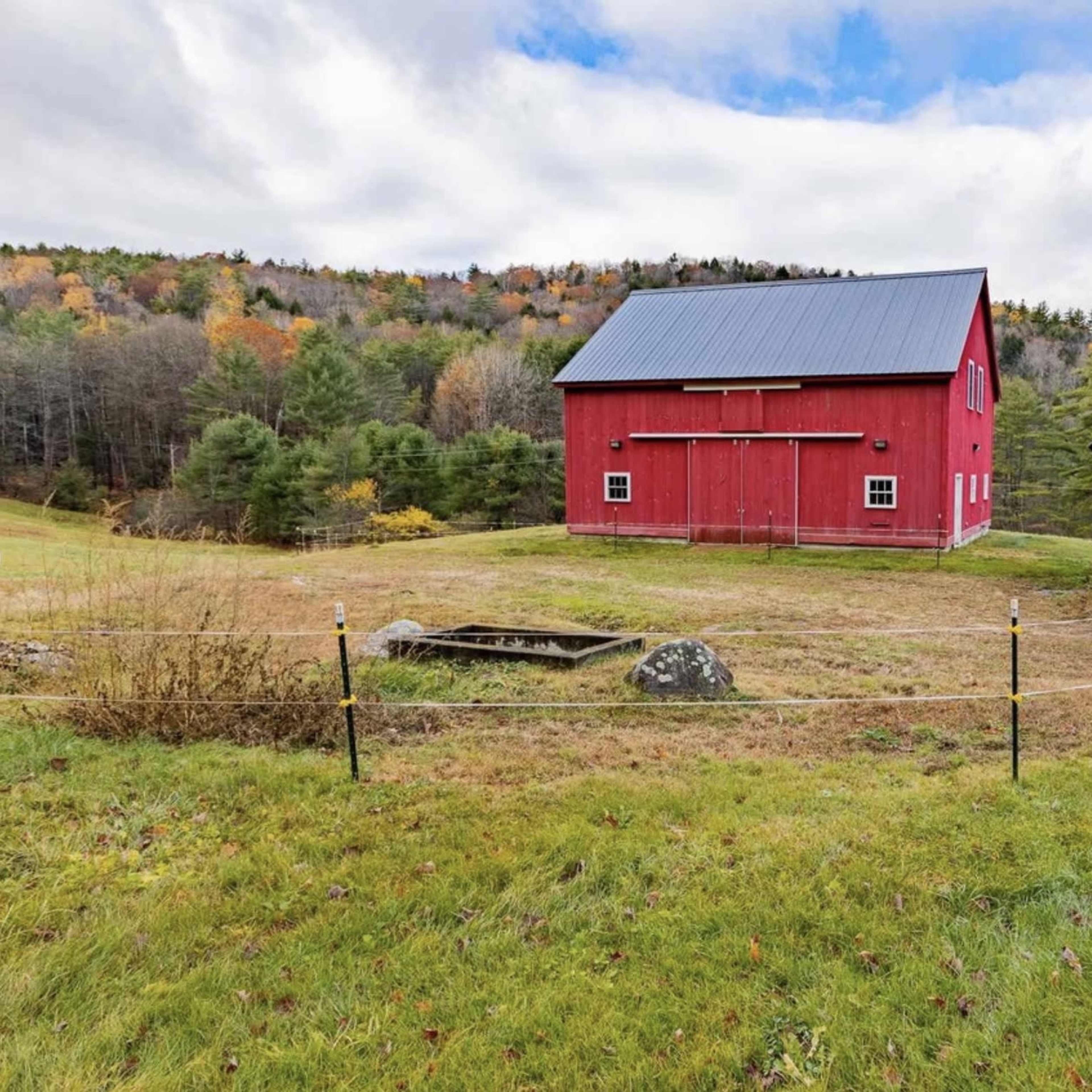 A red barn adjacent to a weathered wooden shed on a grassy field surrounded by trees.