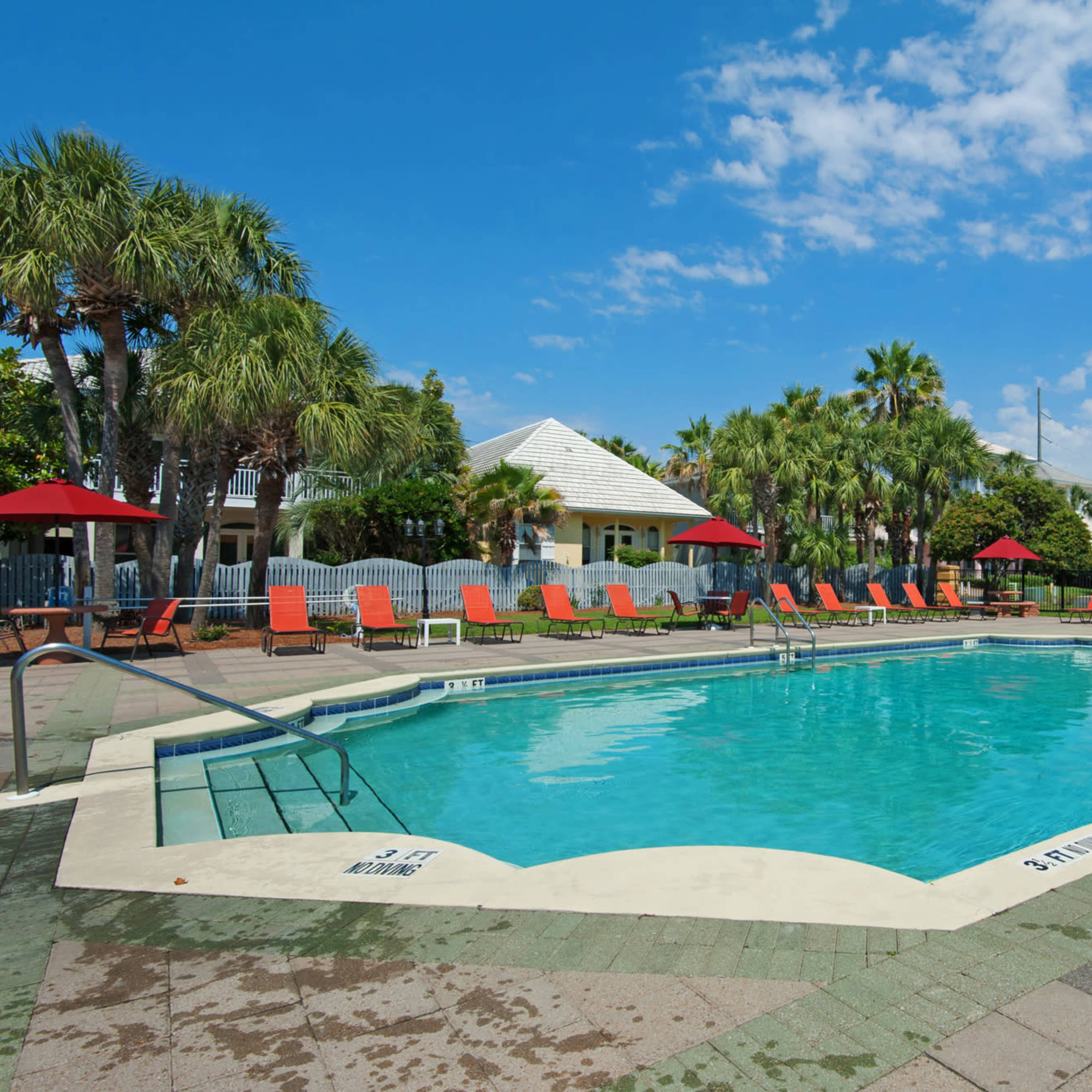 A rectangular swimming pool is surrounded by lounge chairs and palm trees, with a building visible in the background under a blue sky.