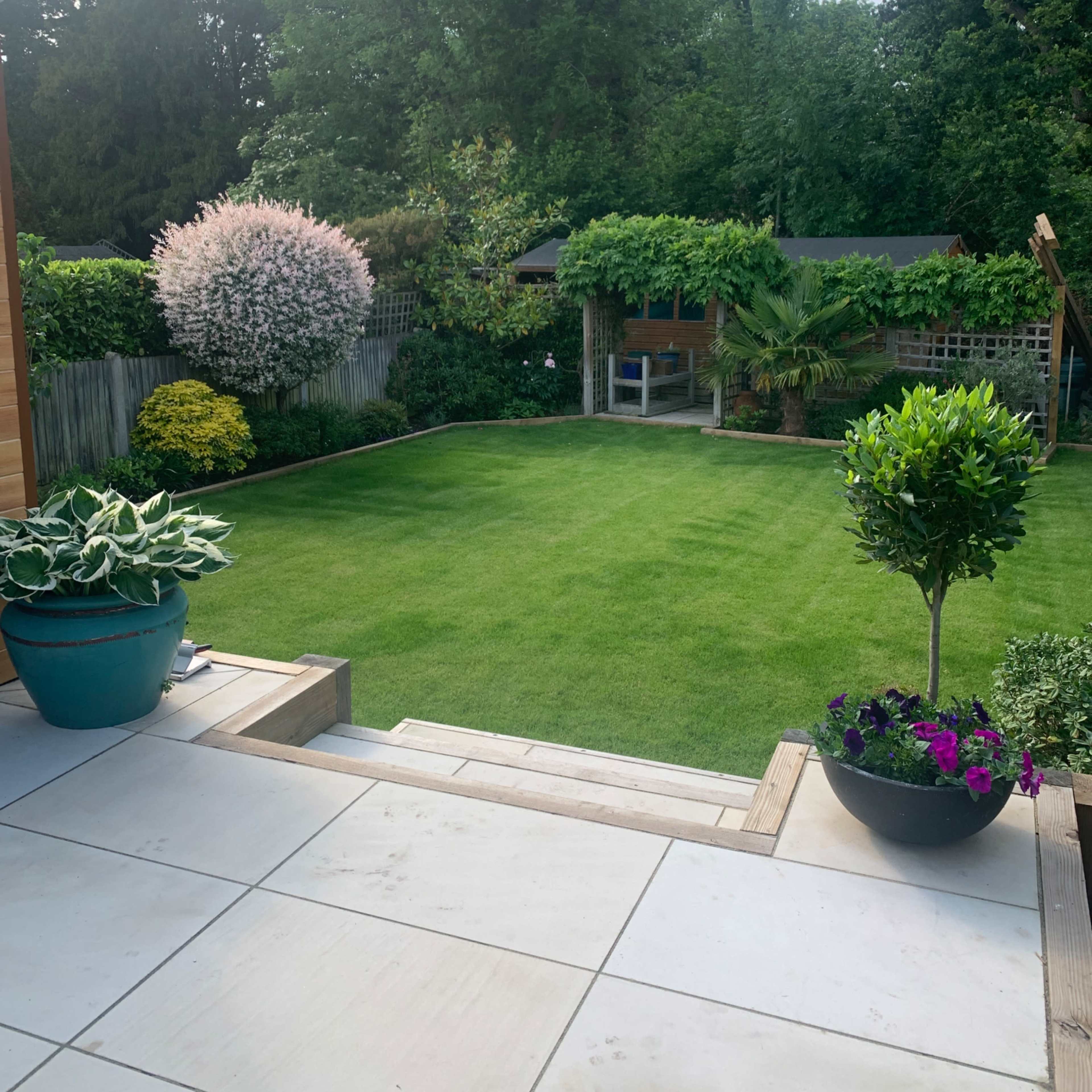 A well-manicured lawn surrounded by various plants and trees, with a patio area in the foreground.