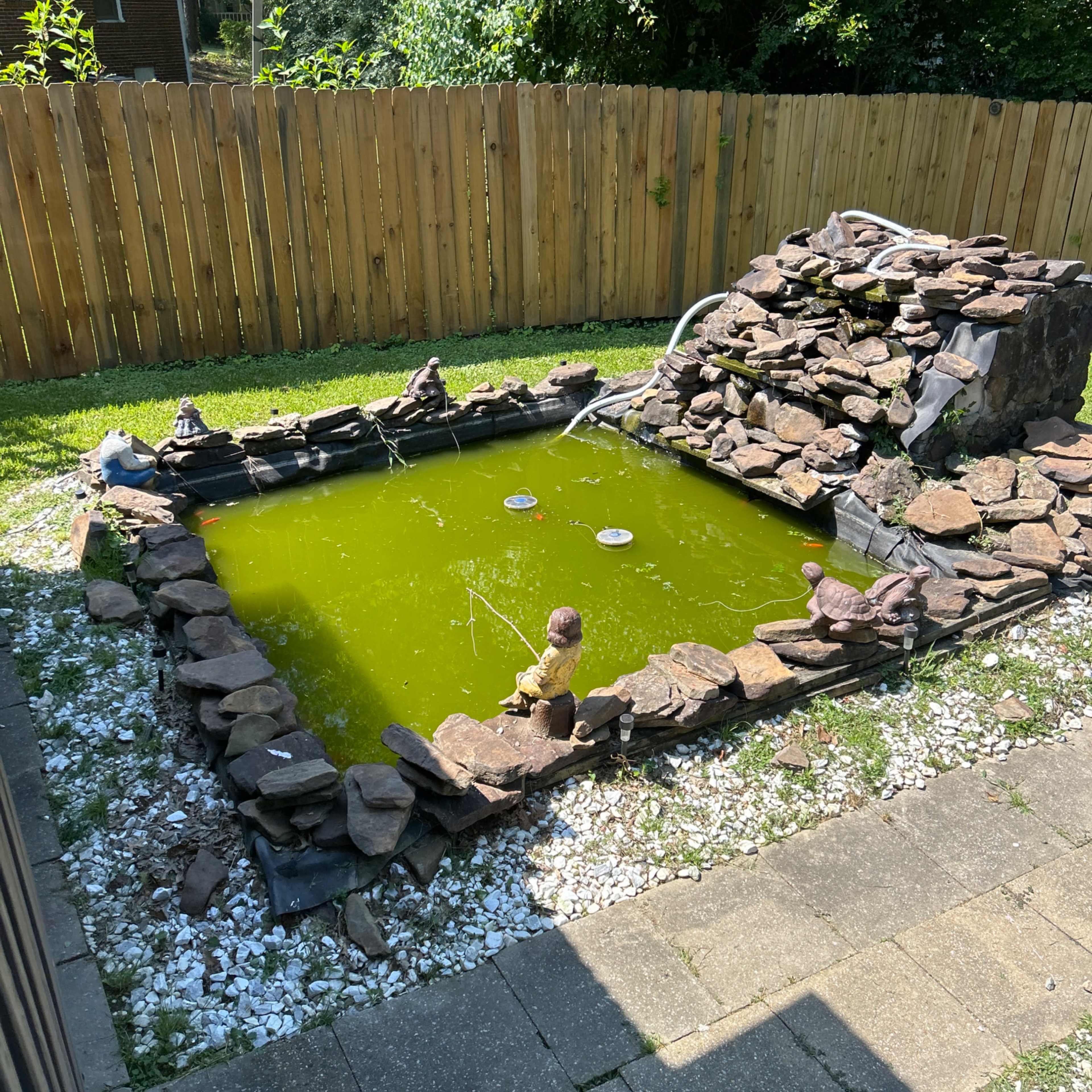 A small, green pond surrounded by stones and decorative figures is situated in a backyard with a wooden fence.
