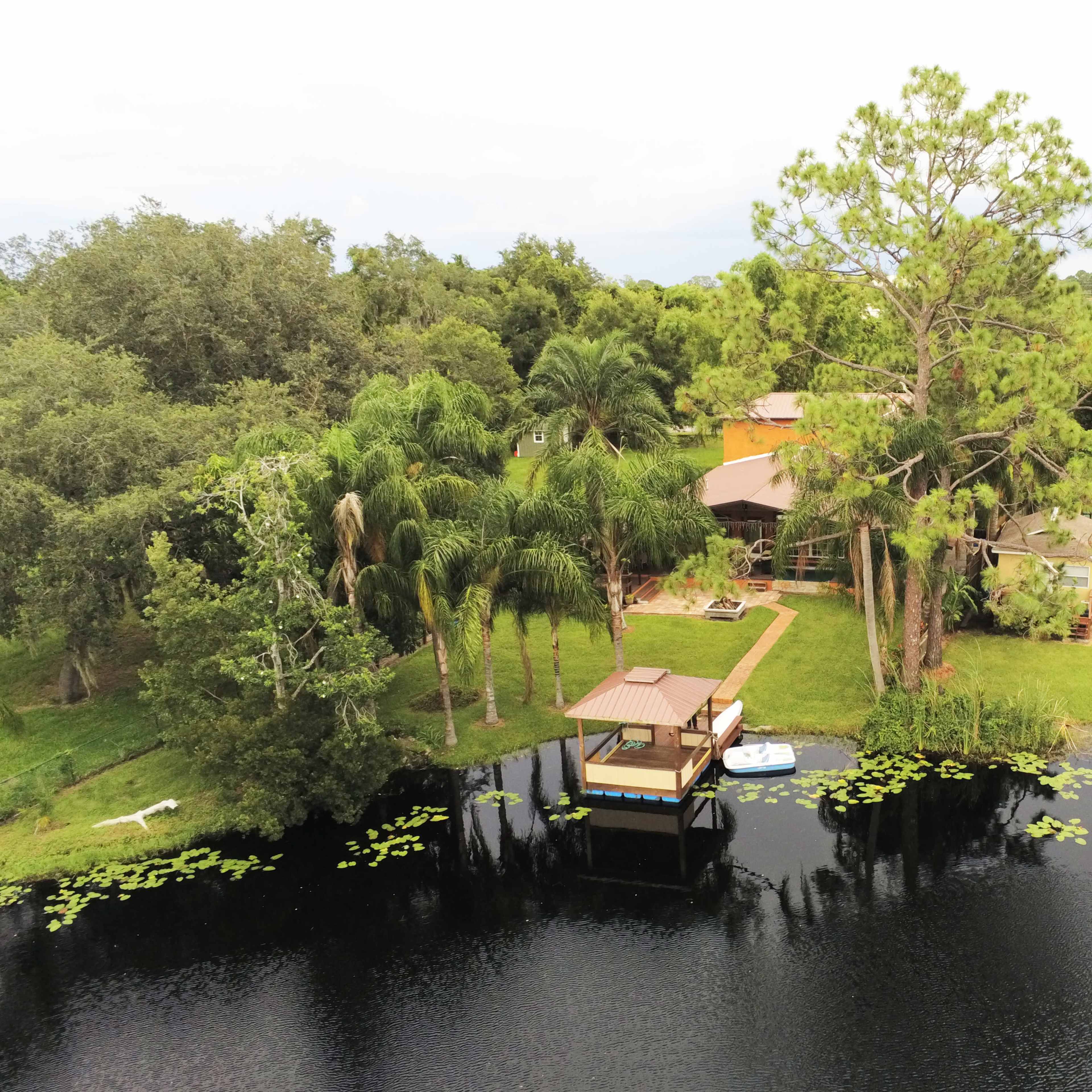 A tranquil waterfront scene featuring a small dock and a paddleboard surrounded by lush greenery and a pond with lily pads.