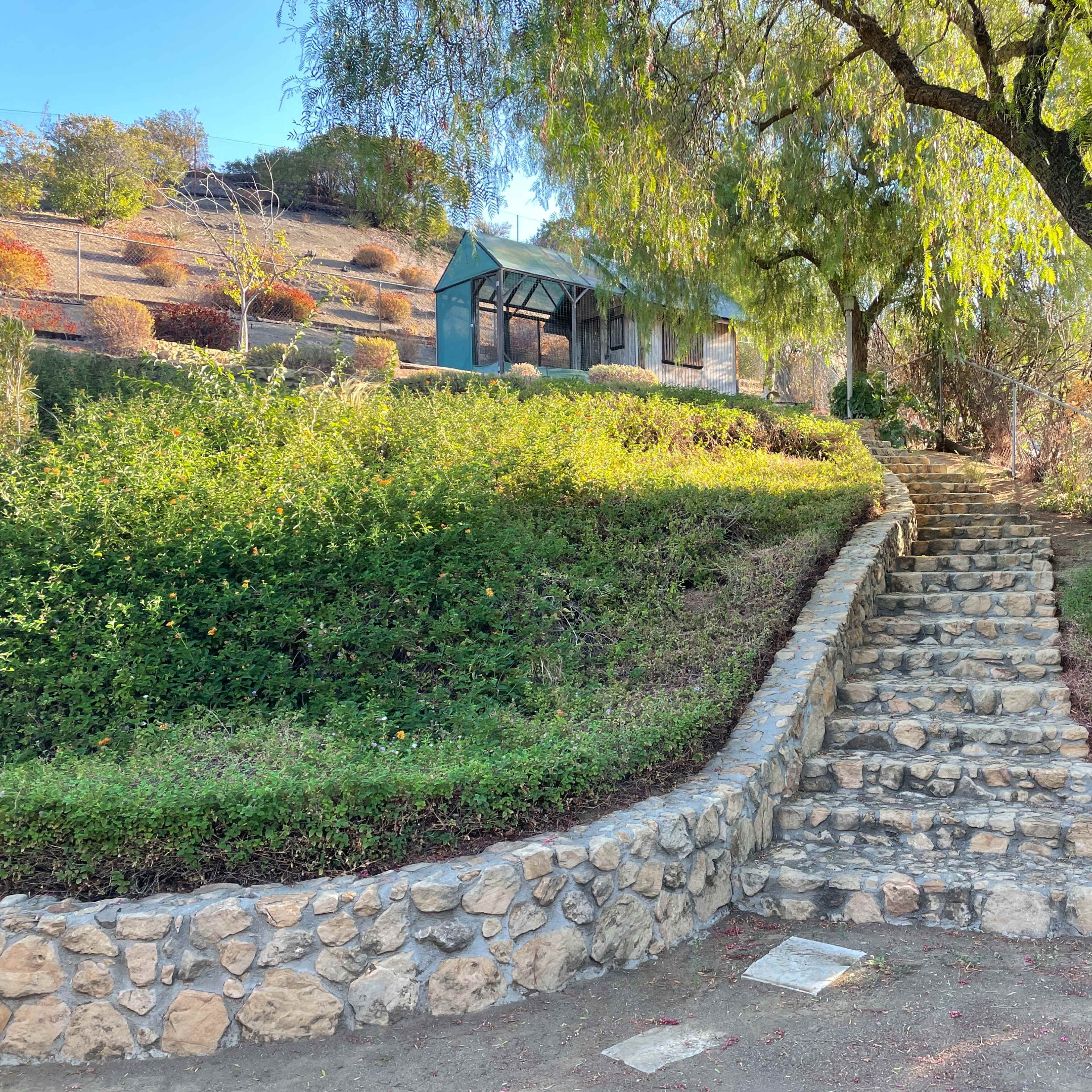 A winding stone pathway leads up to a building surrounded by greenery and trees.