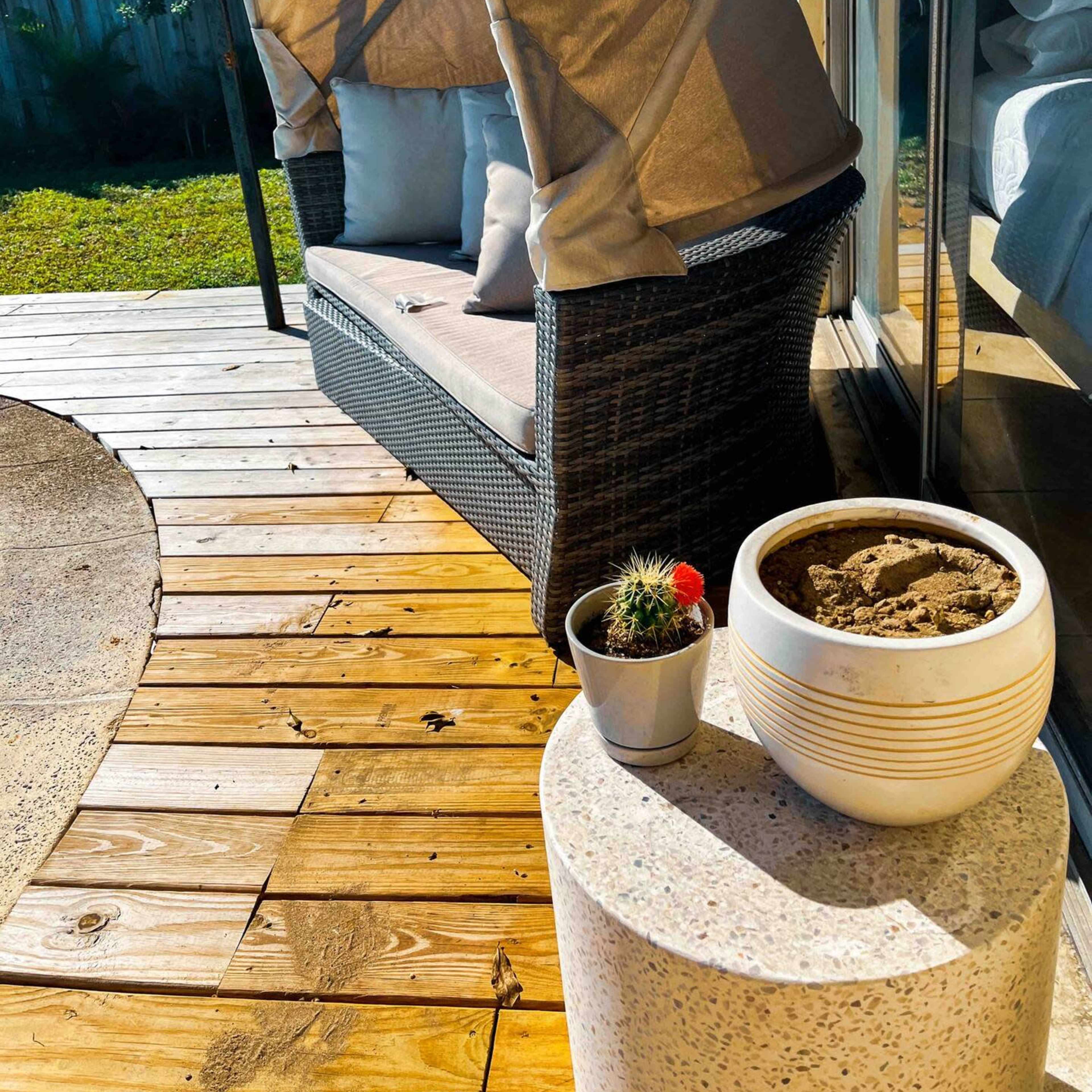 A wicker loveseat with a canopy is positioned on a wooden deck beside a potted cactus and a planter.