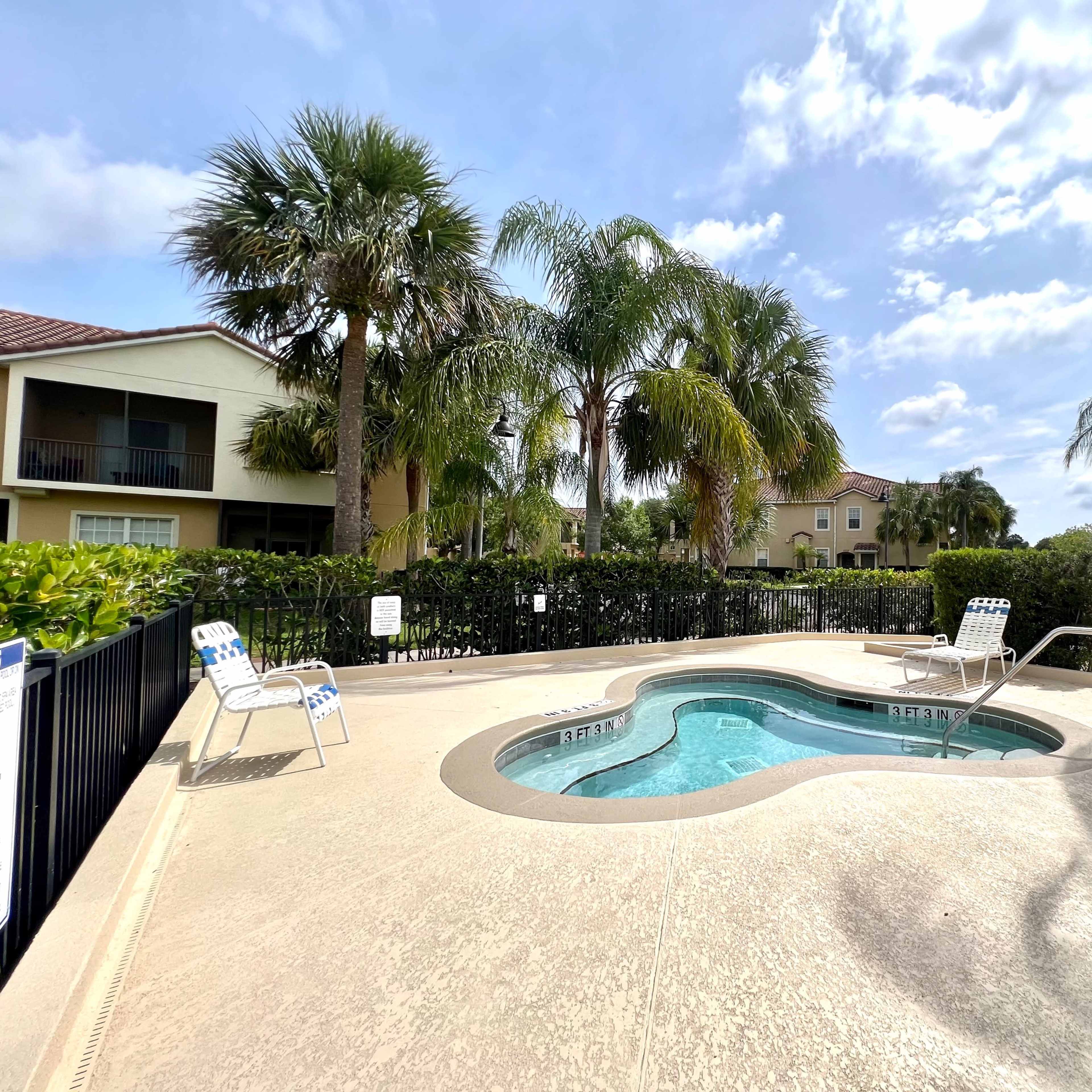 A small hot tub is surrounded by palm trees and lounge chairs in an outdoor pool area.