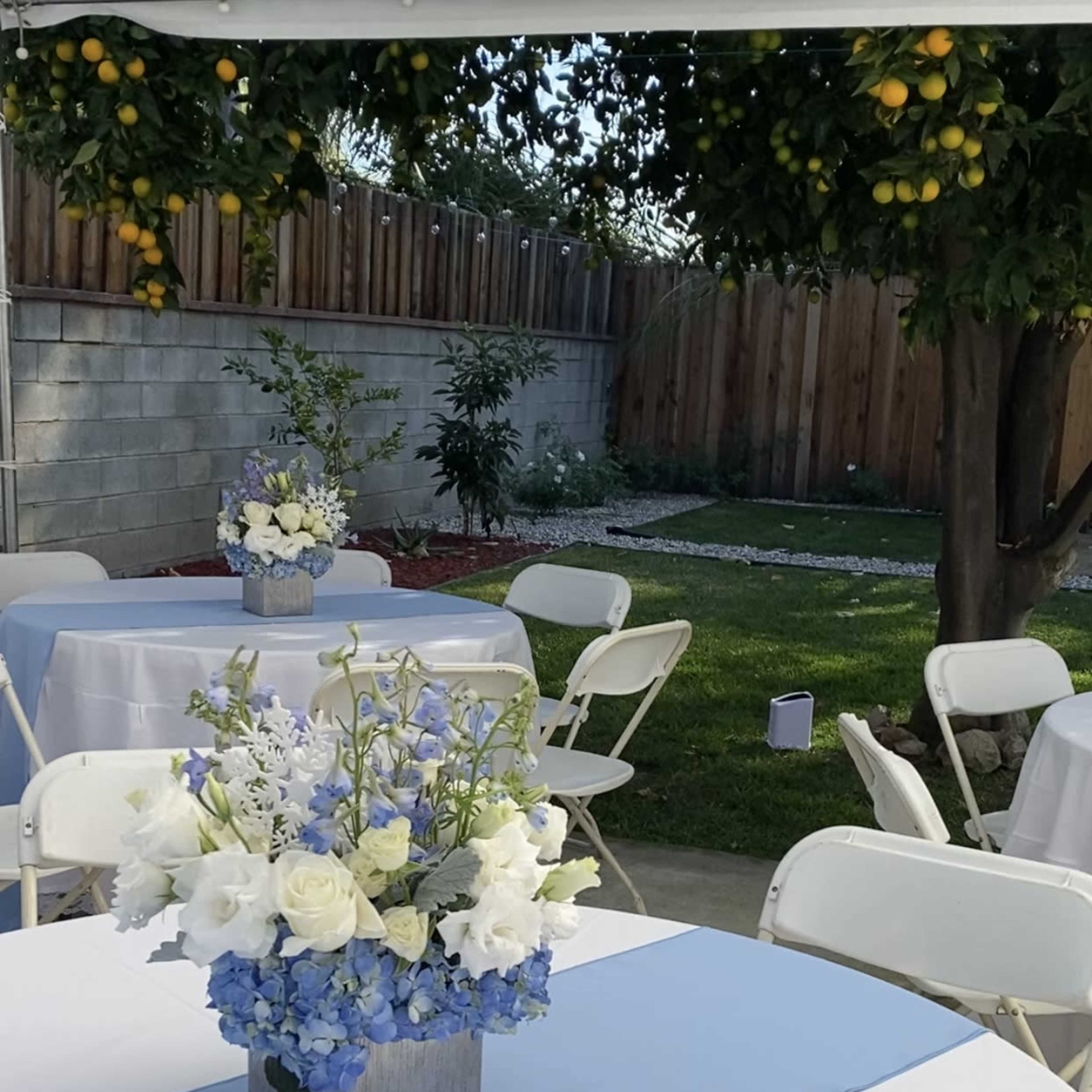 The scene features a backyard event setup with white tables covered in light blue tablecloths, each adorned with floral arrangements in gray vases, surrounded by green grass and a lemon tree.