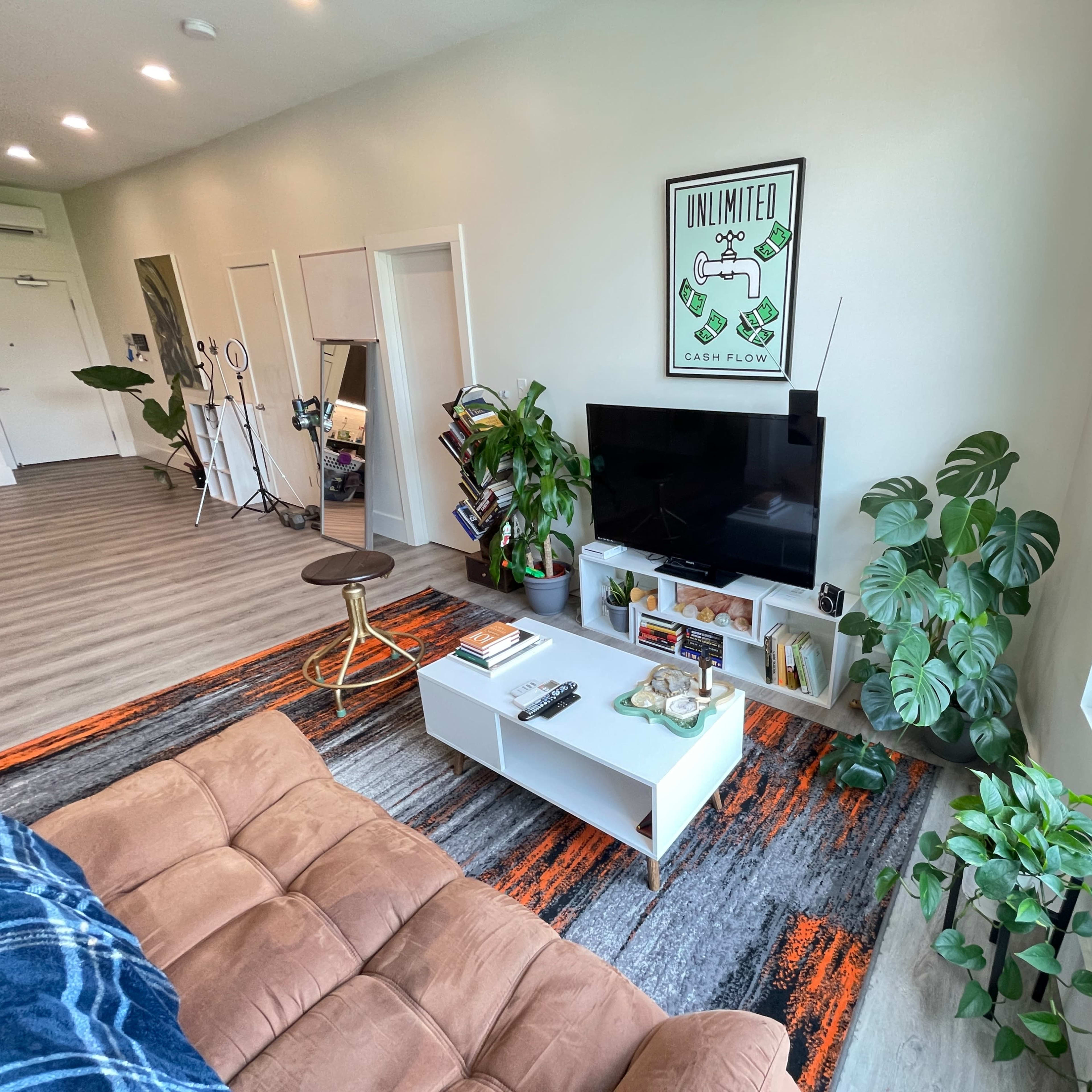 A living room features a brown couch, a white coffee table, a television, house plants, and a wall poster, all arranged on a colorful area rug.