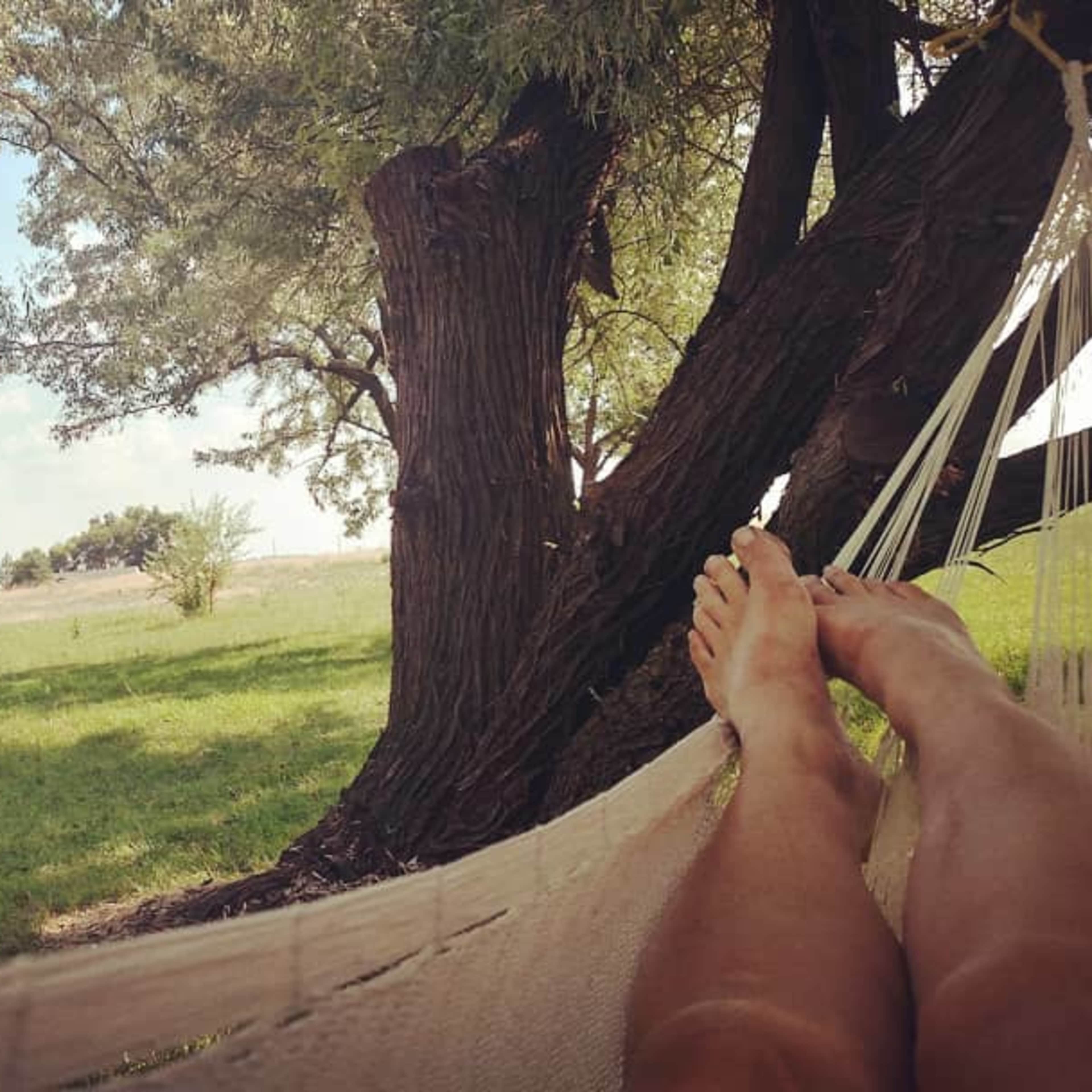 A person is lying in a hammock with their feet resting on the fabric, surrounded by trees and a grassy area.