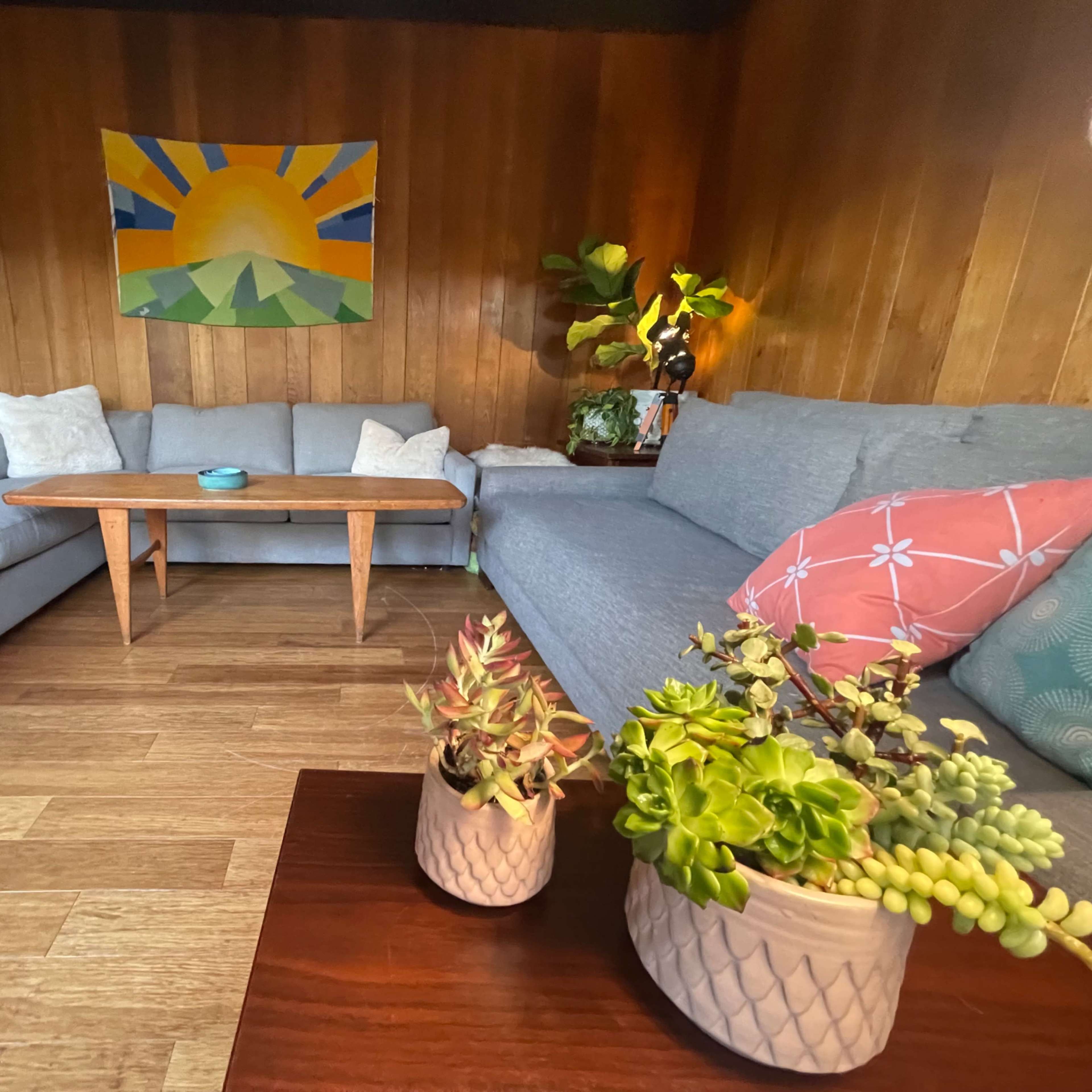 A cozy living room features two grey sofas, a wooden coffee table, and potted plants, with a colorful painting on the wall.