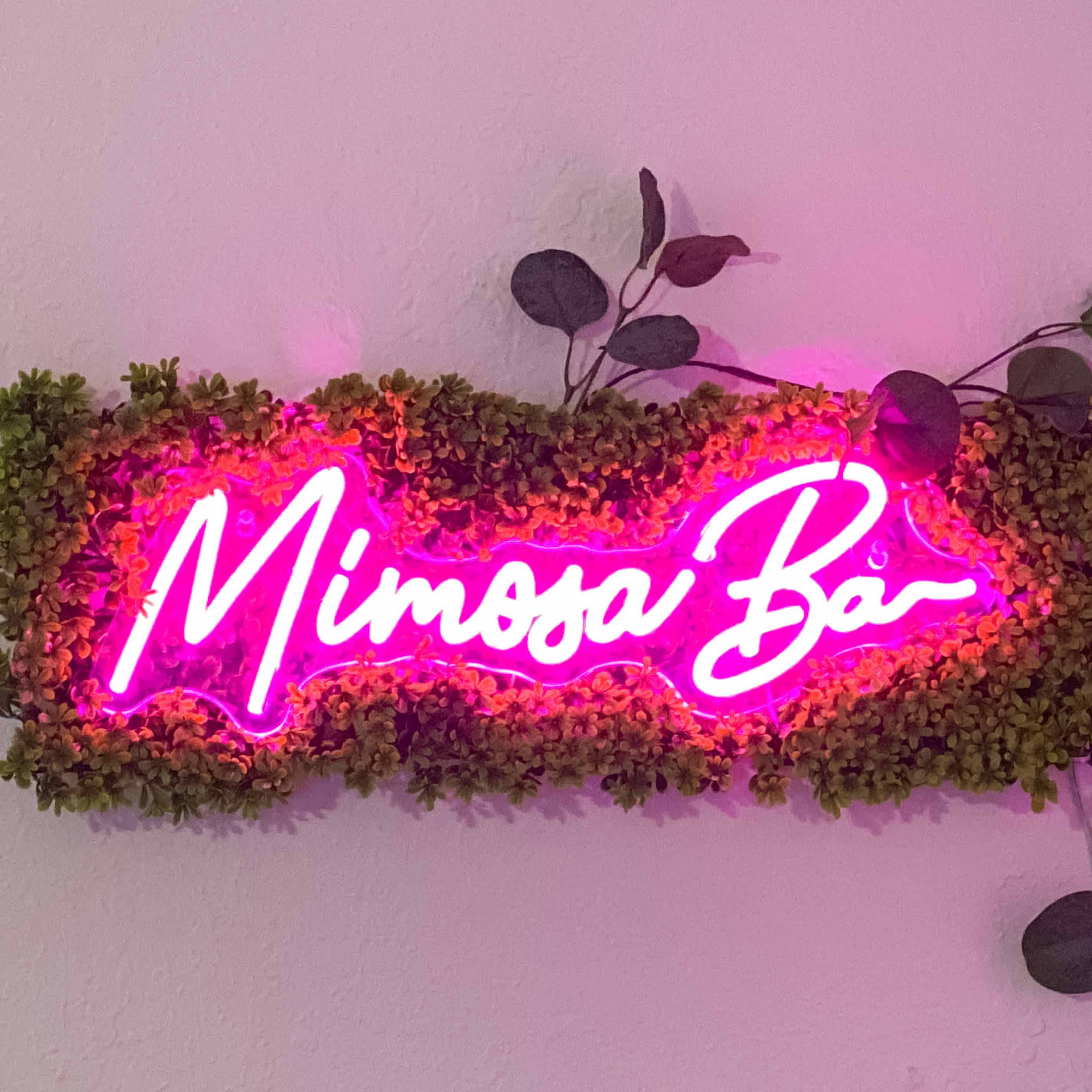 A neon sign that reads "Mimosa Bar" is surrounded by green foliage on a wall.