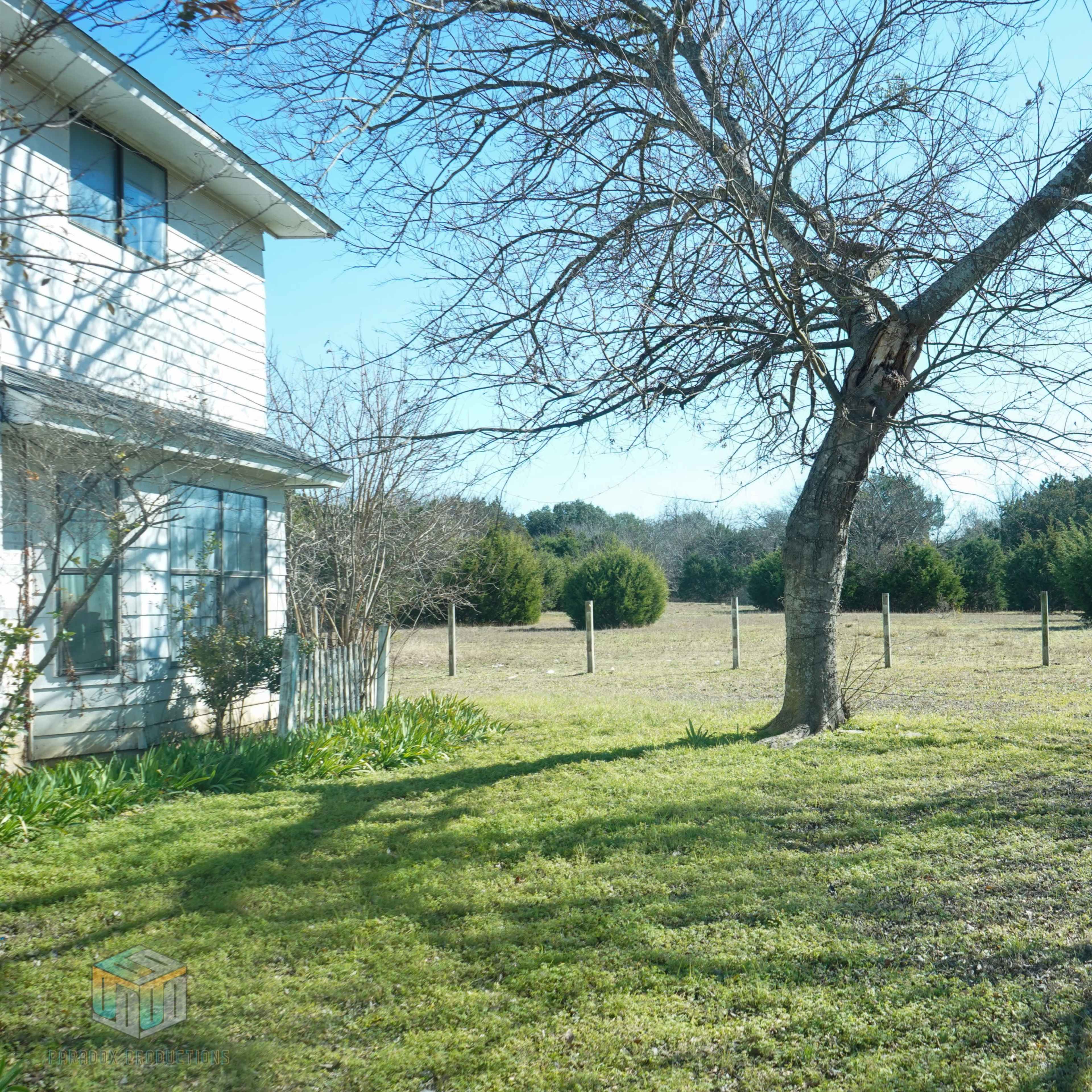 A leafless tree stands beside a house, overlooking a grassy yard enclosed by a wooden fence and bordered by bushes.