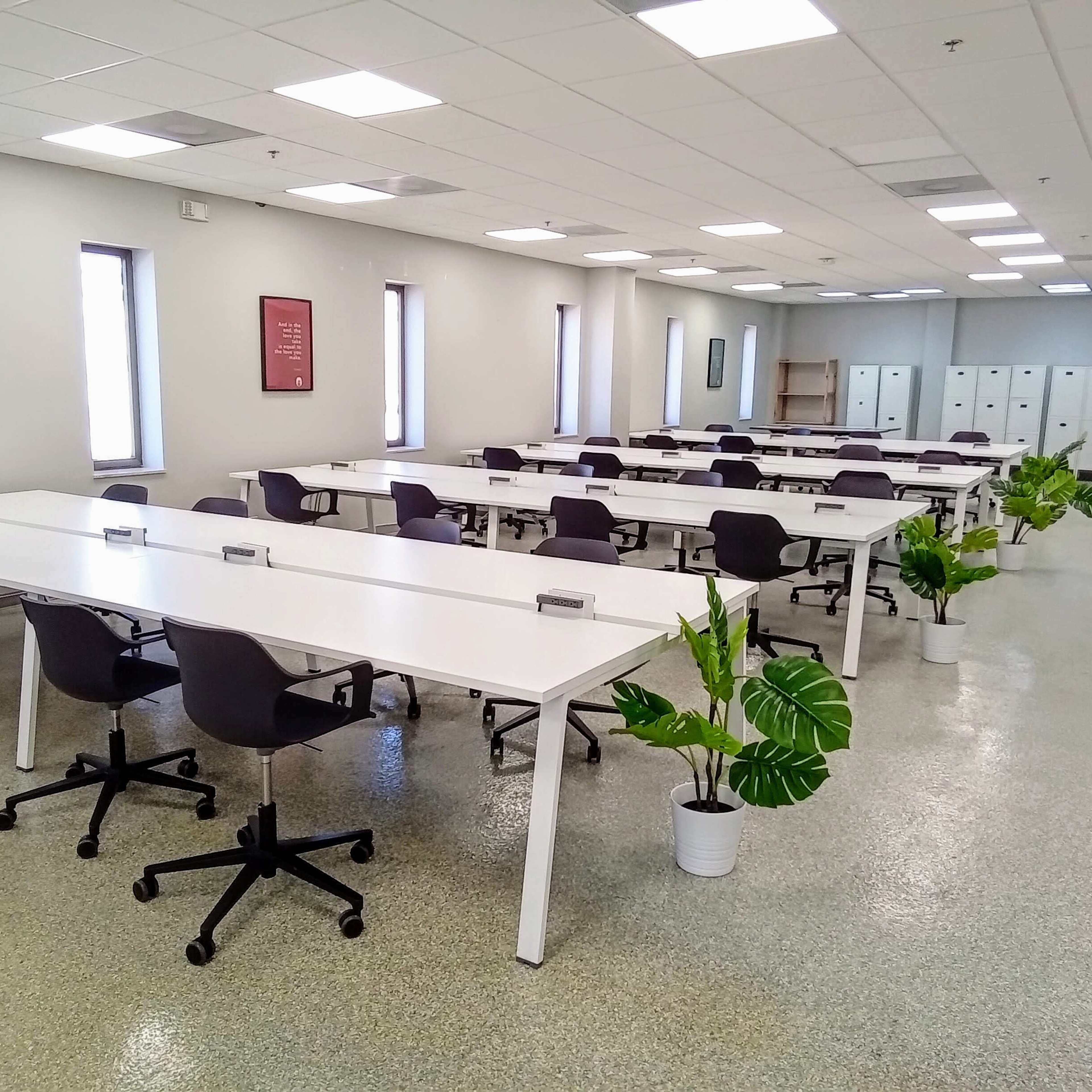A spacious office area with multiple white desks arranged in rows, each paired with black chairs and flanked by green plants in pots.