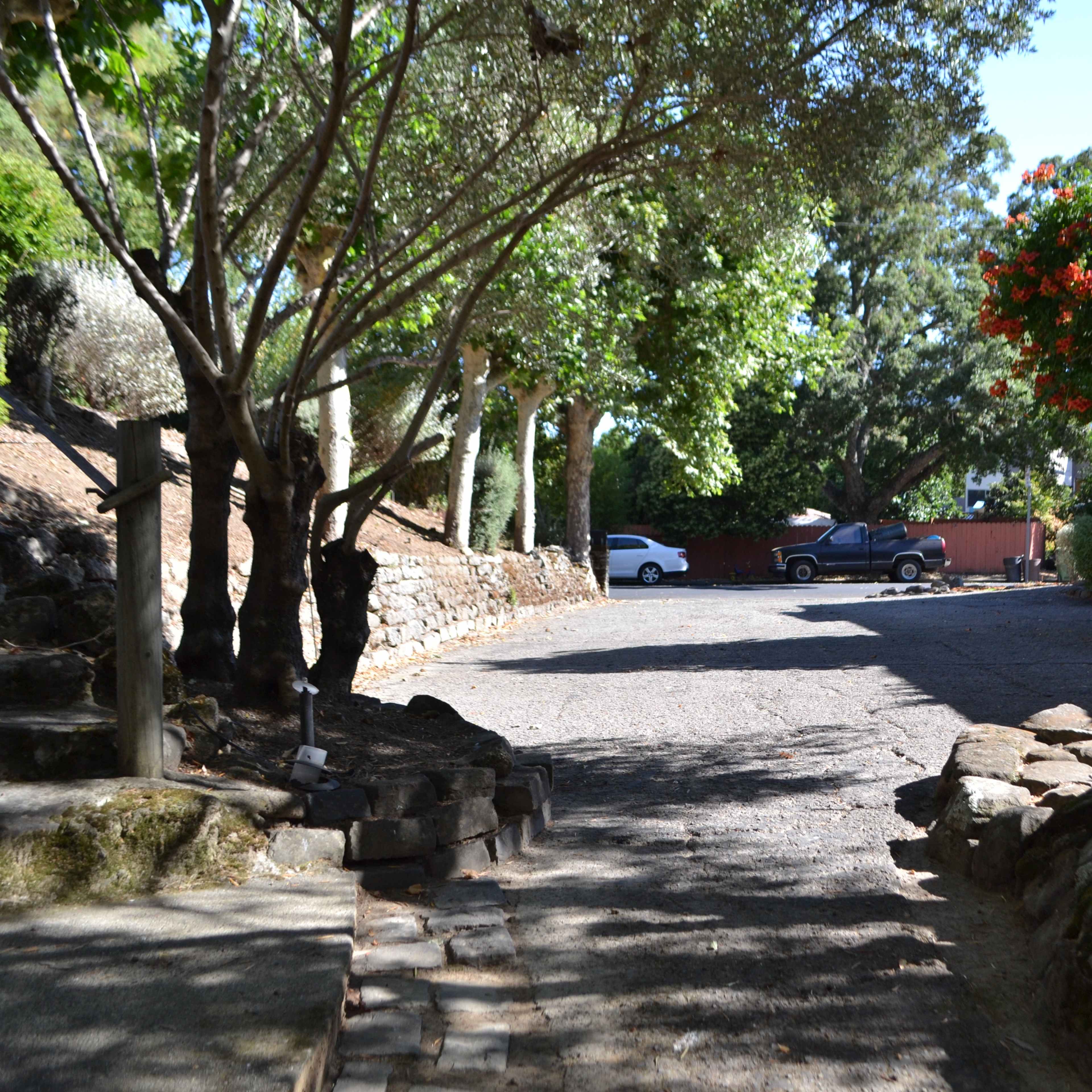A gravel pathway lined with trees leading to a parking area with a few vehicles visible amidst landscaped surroundings.
