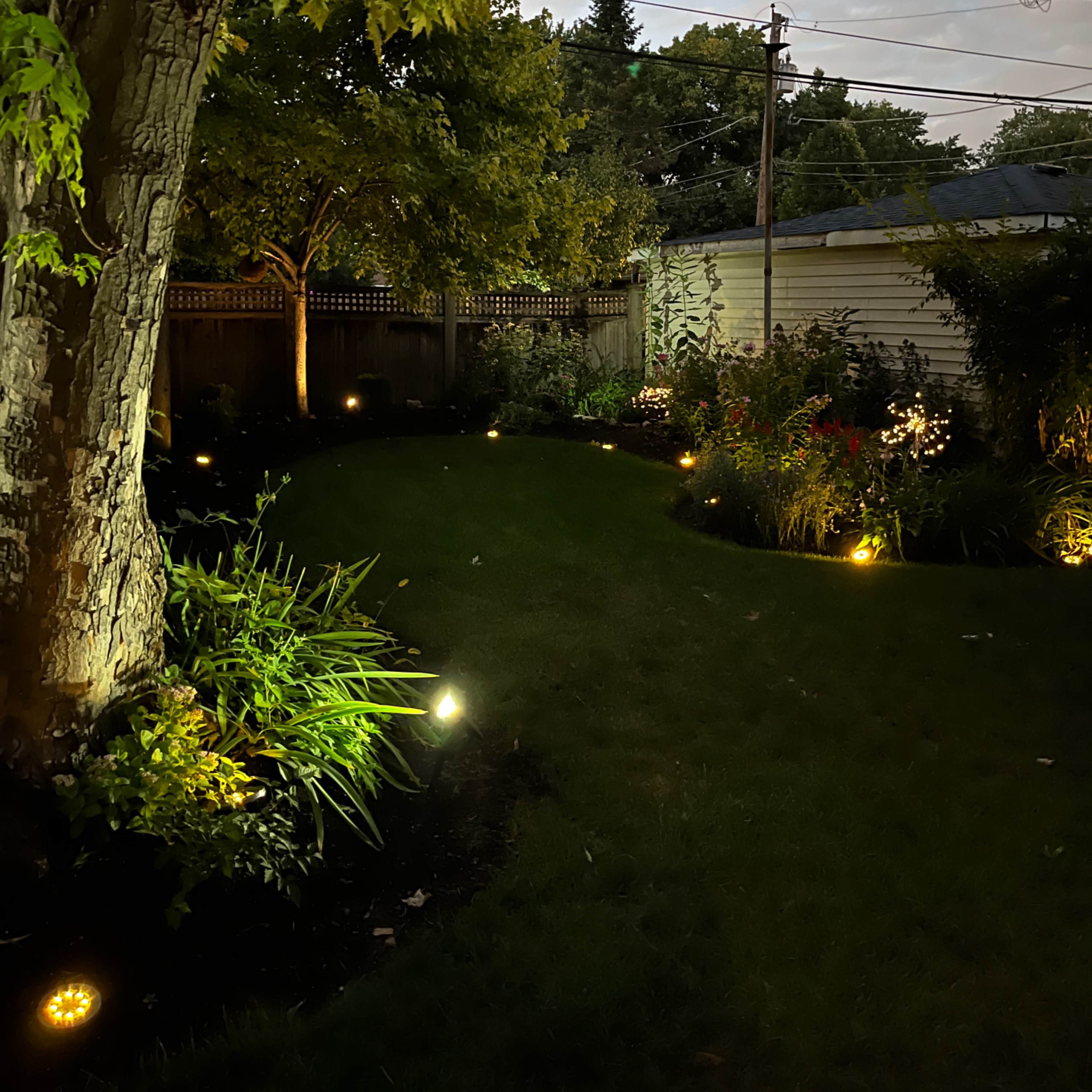 A softly illuminated garden path surrounded by plants and a tree at dusk, with decorative lighting along the edges.